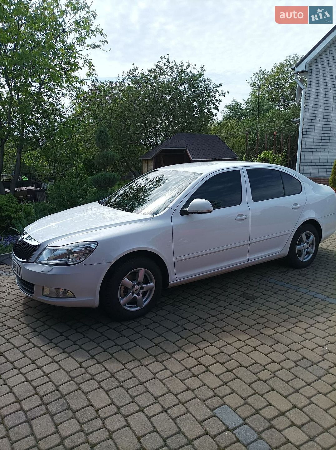 Skoda Octavia 2009 VIN TMBCK61ZX9C008061 фото оголошення 4 з 13