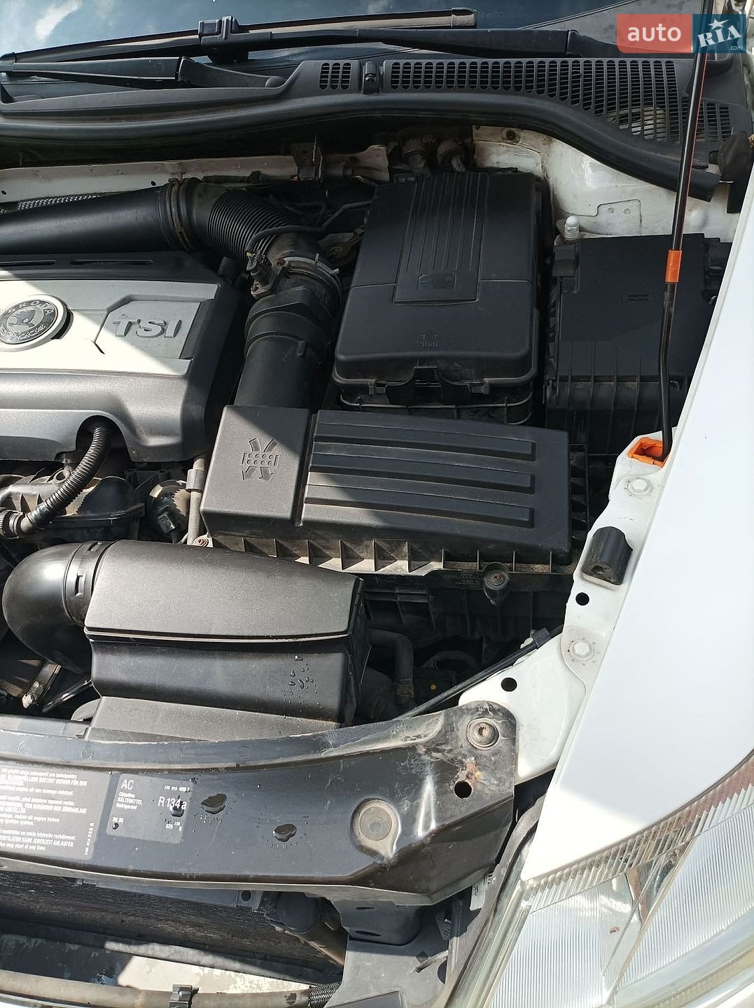 Skoda Octavia 2009 VIN TMBCK61ZX9C008061 фото оголошення 10 з 13