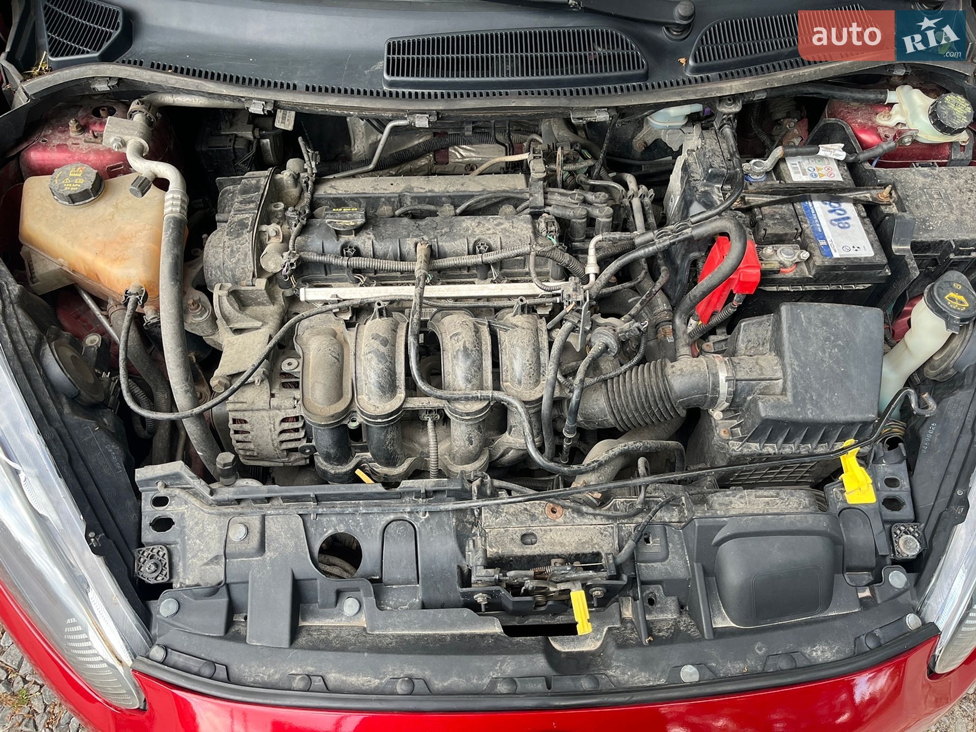 Ford Fiesta 2013 VIN 3FADP4BJ6EM131616 фото оголошення 17 з 18