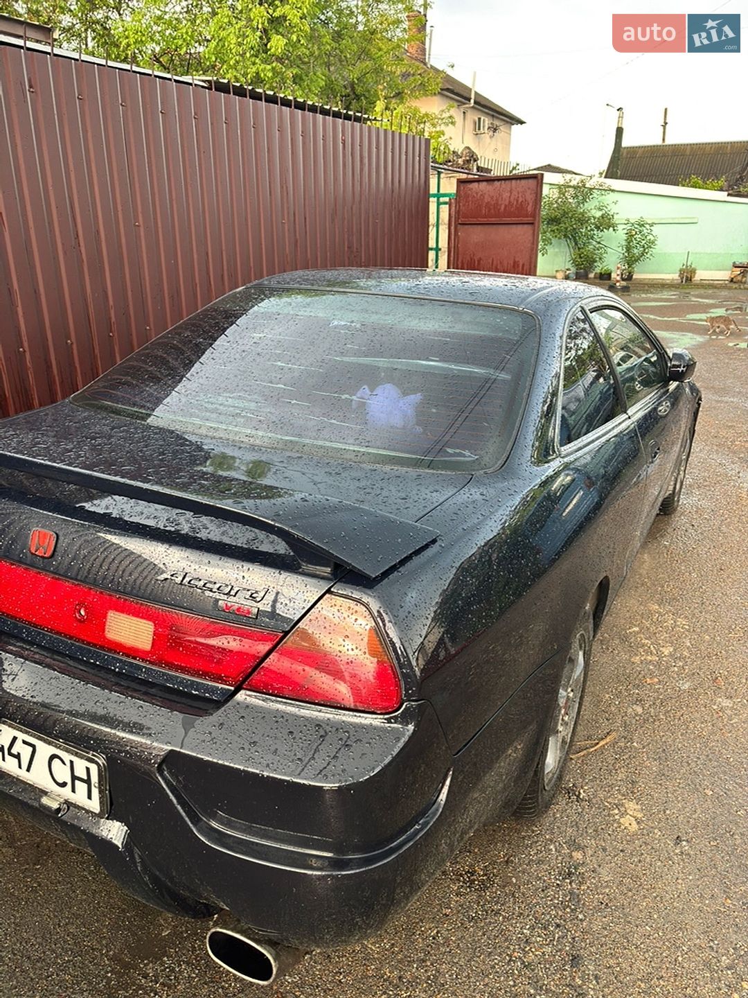 HONDA ACCORD 1999 VIN 1HGCG2252XA018406 фото оголошення 3 з 4