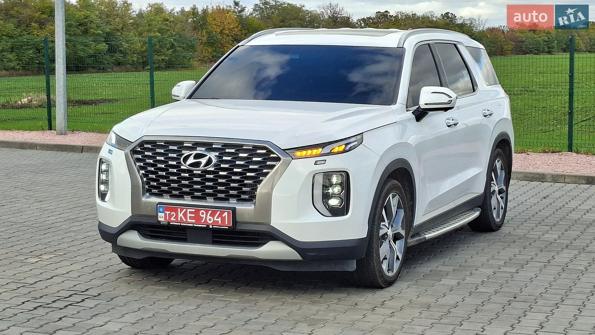 Hyundai Palisade 2019 VIN KMHR381ADKU066674 фото оголошення 10 з 63