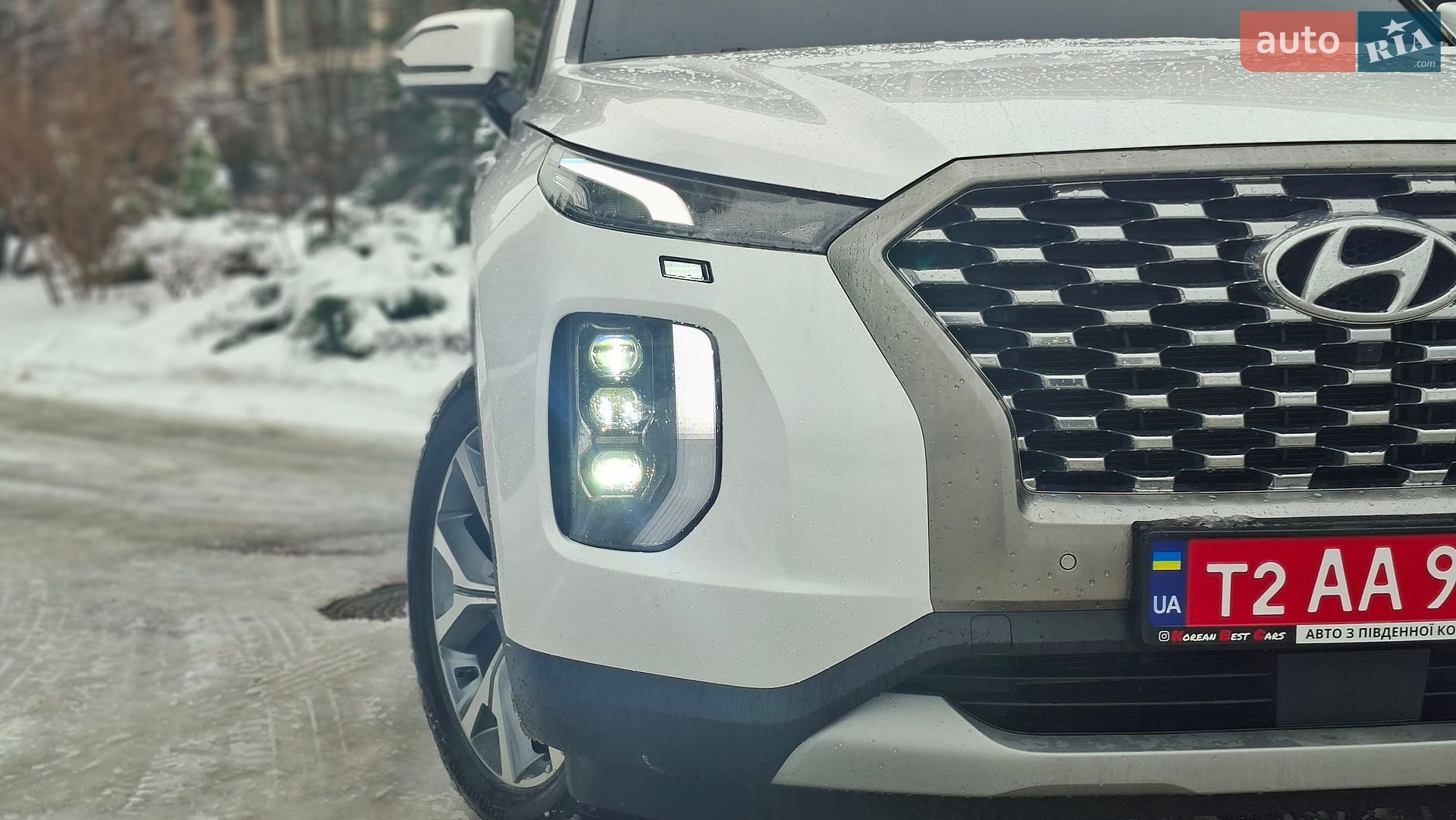 Hyundai Palisade 2019 VIN KMHR381ADKU066674 фото оголошення 34 з 63