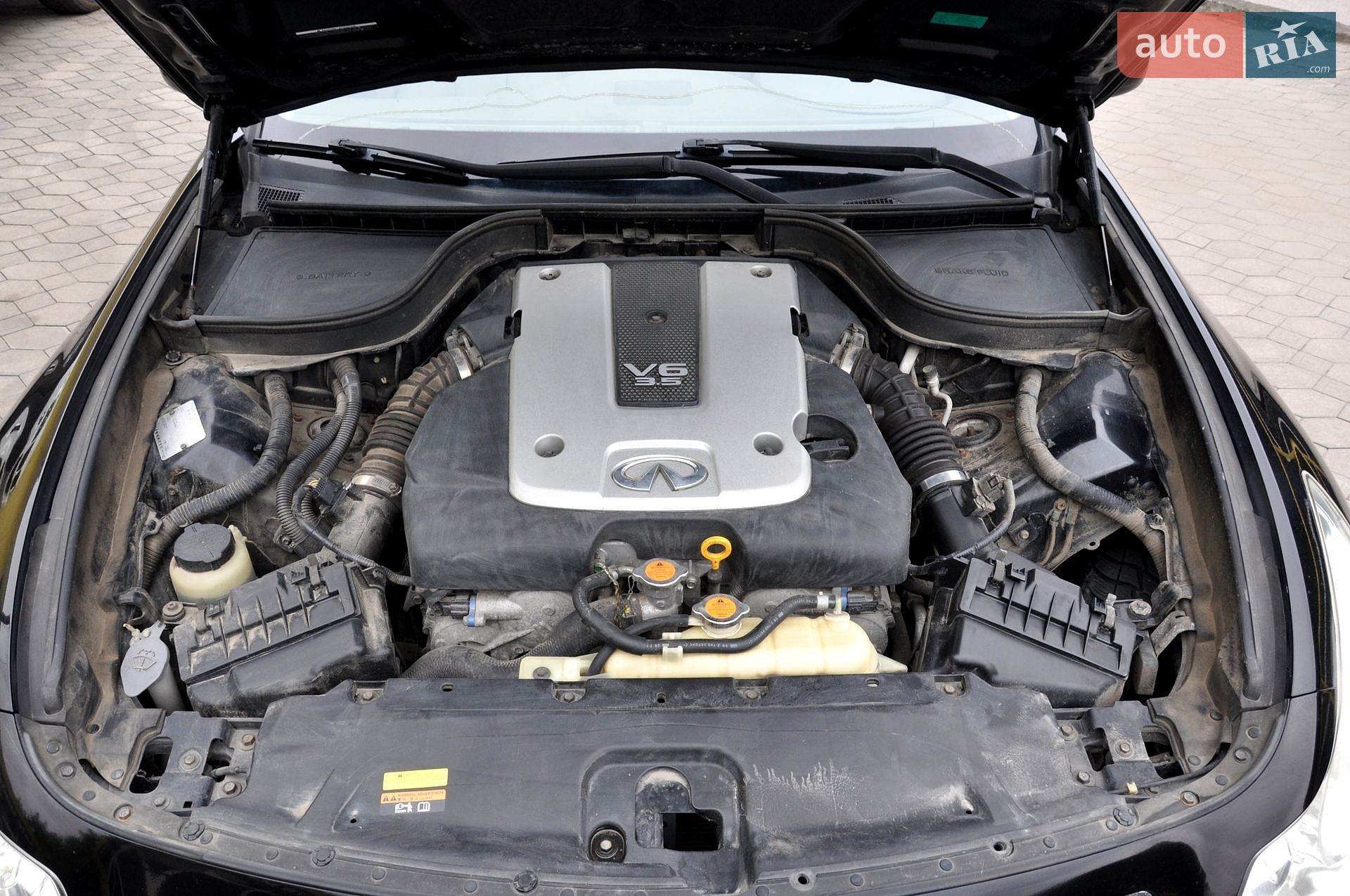 Infiniti G35 2008 VIN JNKBV61E98M501883 фото оголошення 45 з 53