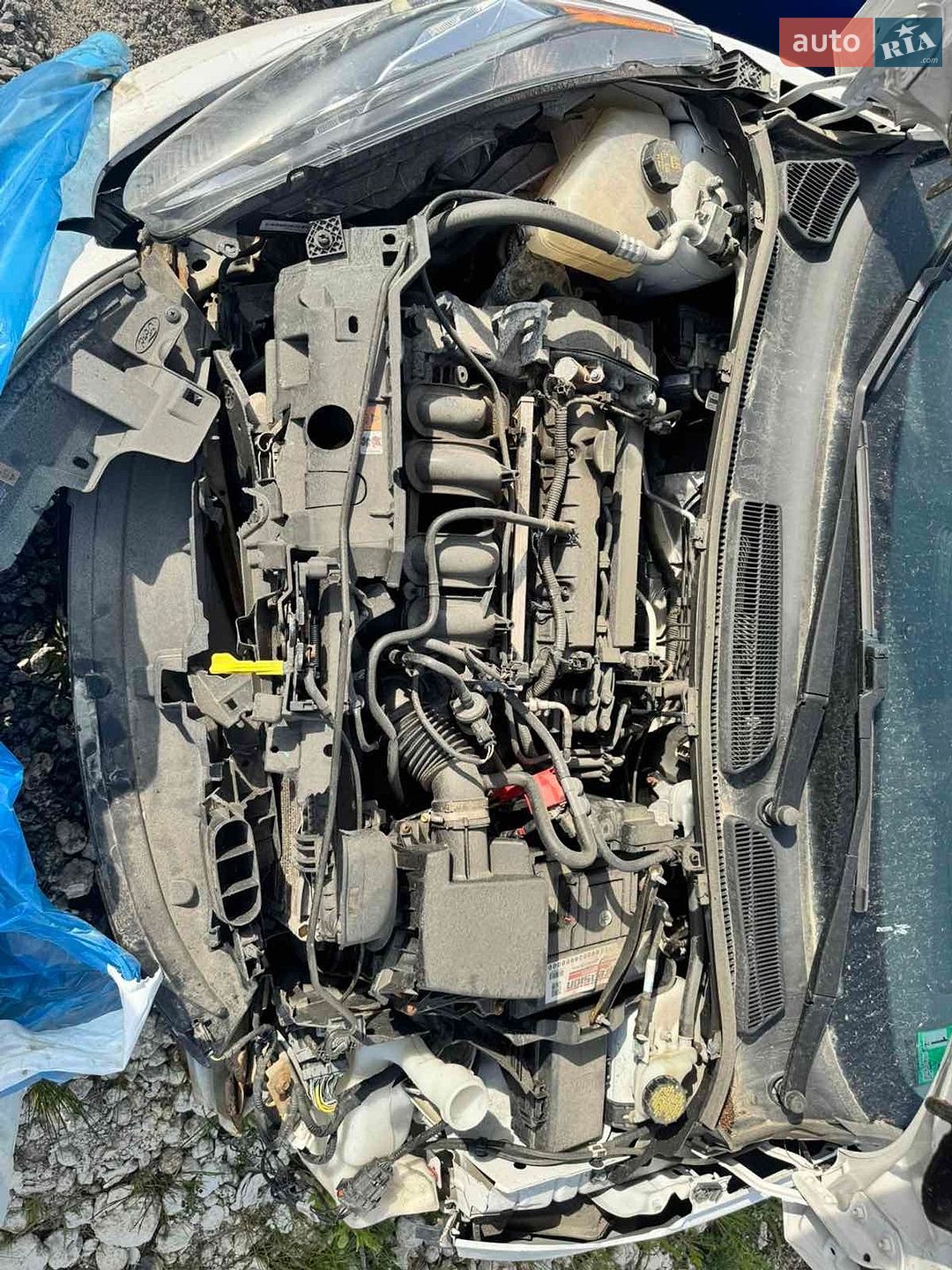 Ford Fiesta 2019 VIN 3FADP4EJ9KM123520 фото оголошення 18 з 20