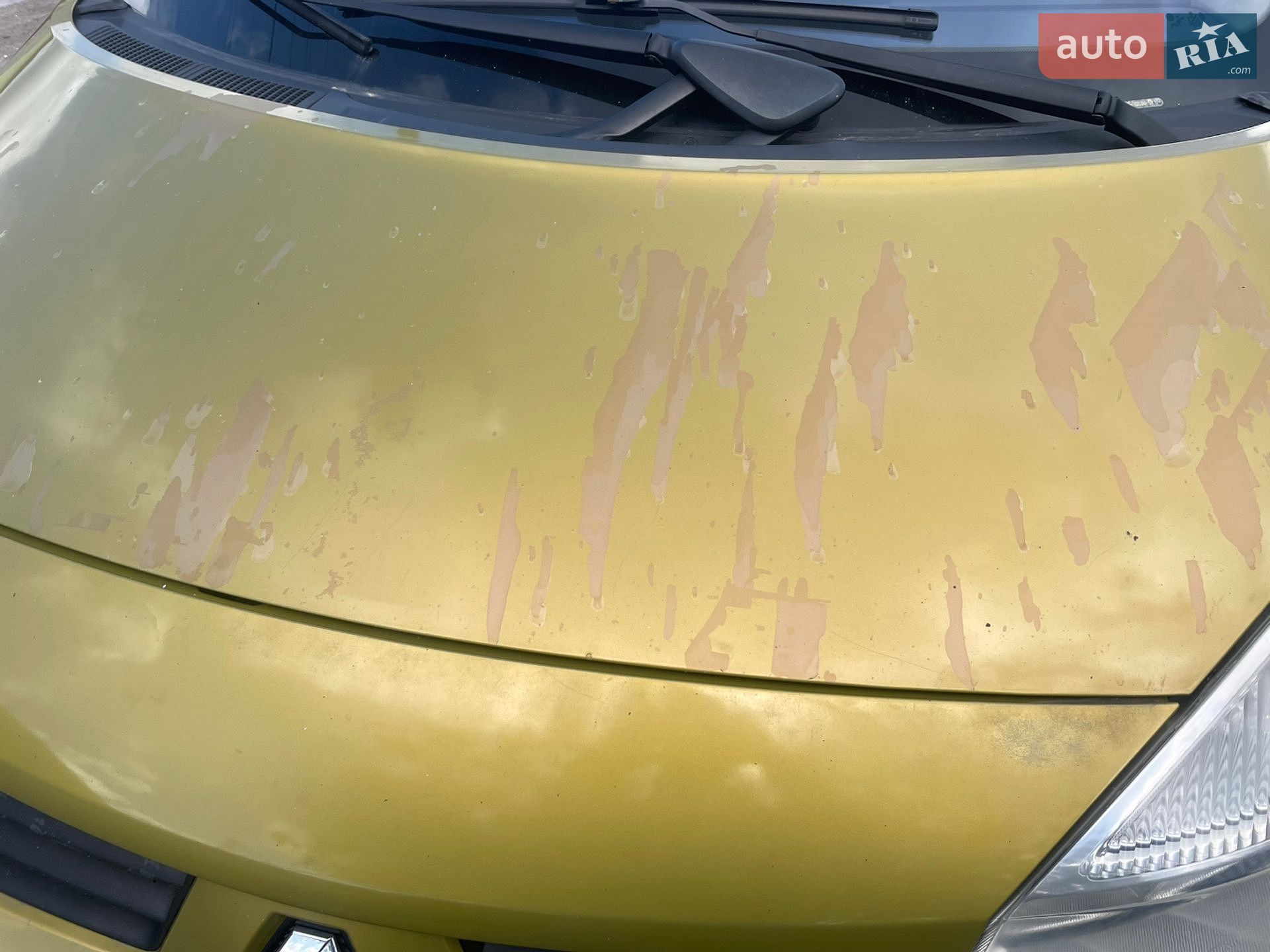 Renault Scenic 2006 VIN VF1JMB50632003943 фото оголошення 13 з 14