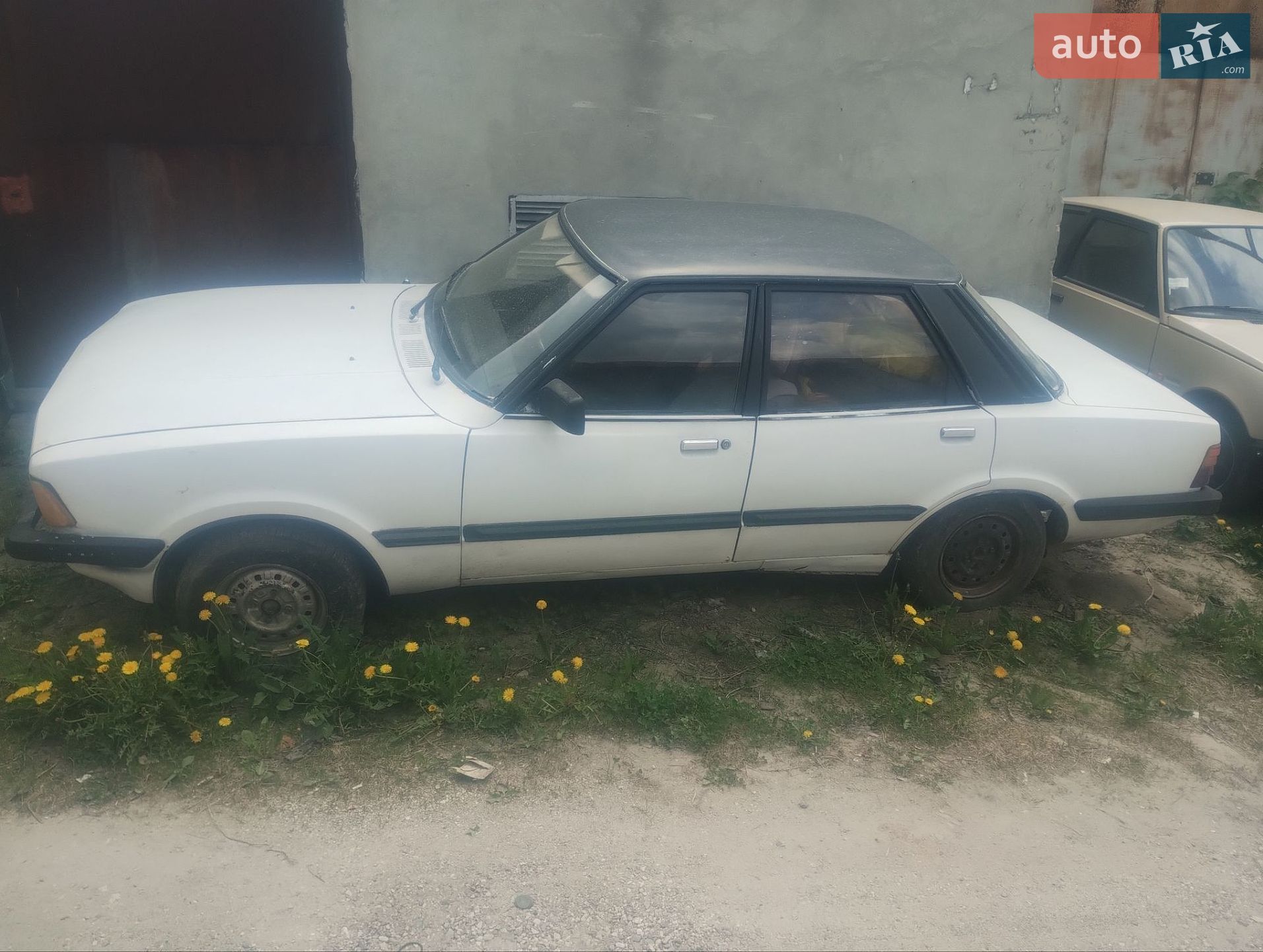 Ford Taunus 1981 VIN WF0FXXGBBFBR16616 фото оголошення 4 з 7