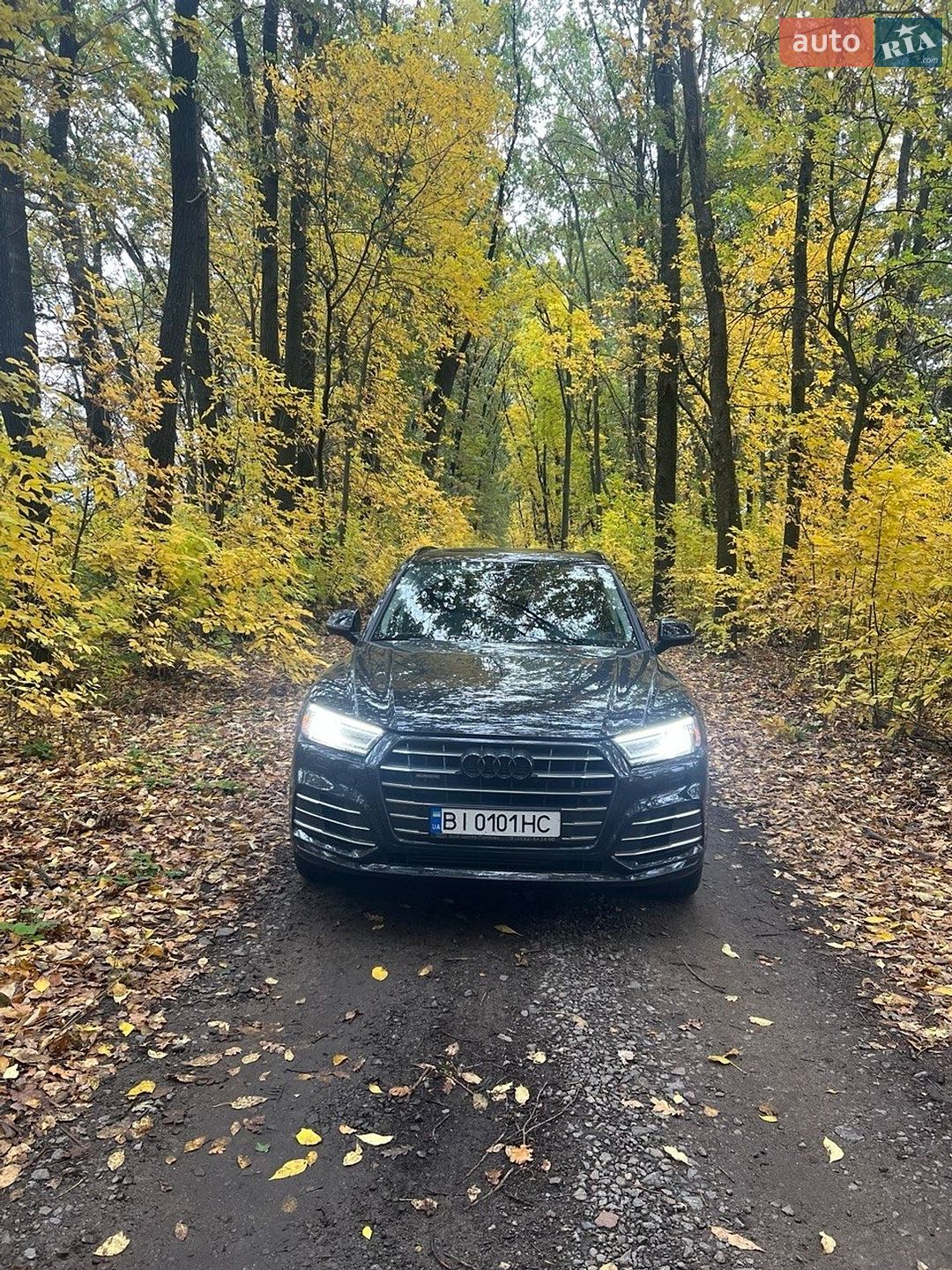 Audi Q5 2019 VIN WA1G2AFY3L2049515 фото оголошення 5 з 10