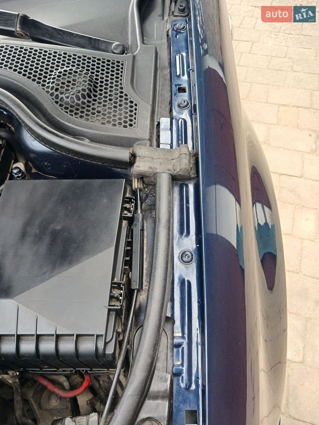 Audi A3 2003 VIN WAUZZZ8P74A016289 фото оголошення 37 з 37