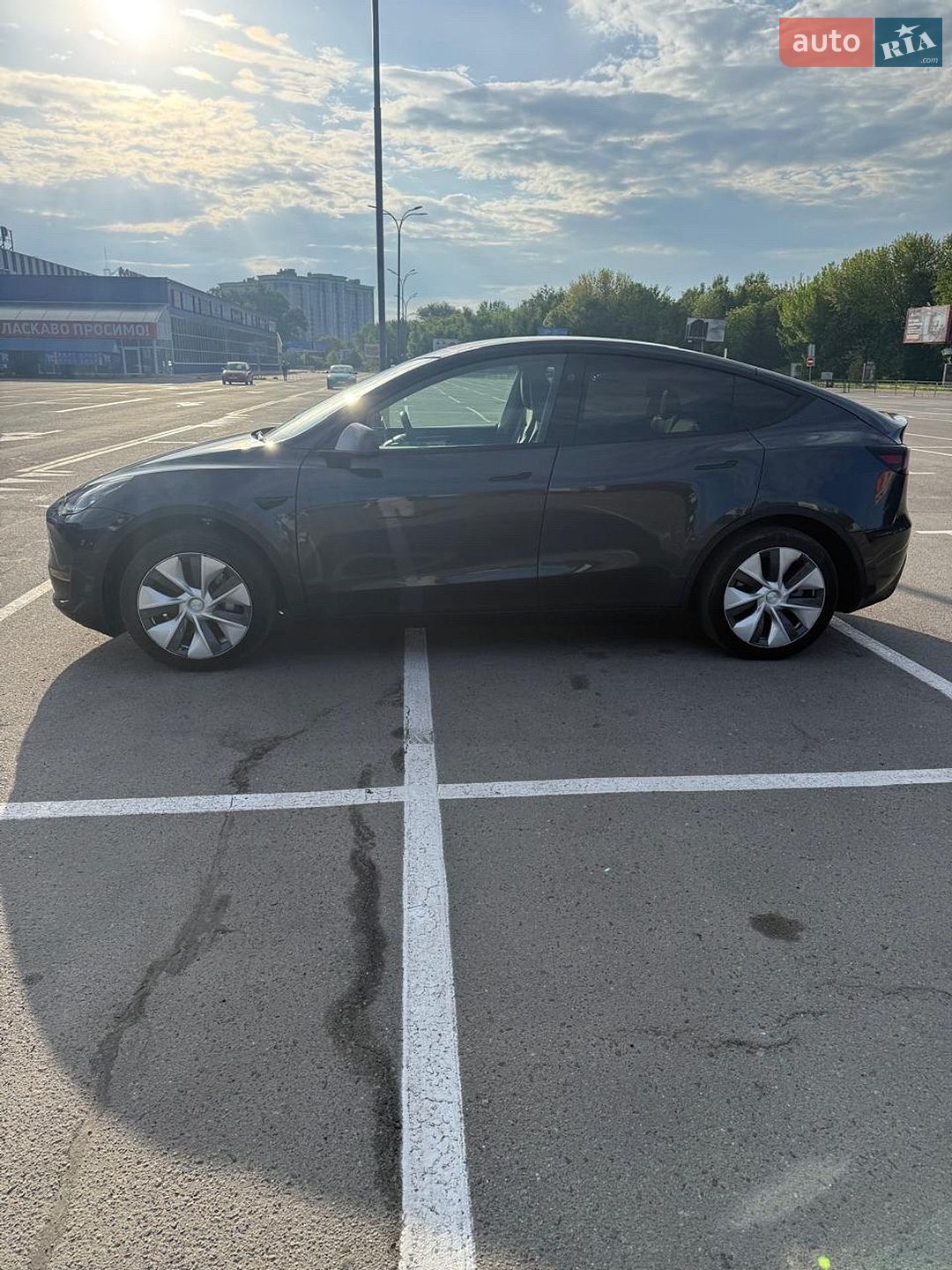 Tesla Model Y 2024 VIN 7SAYGDED1RF072568 фото оголошення 15 з 26