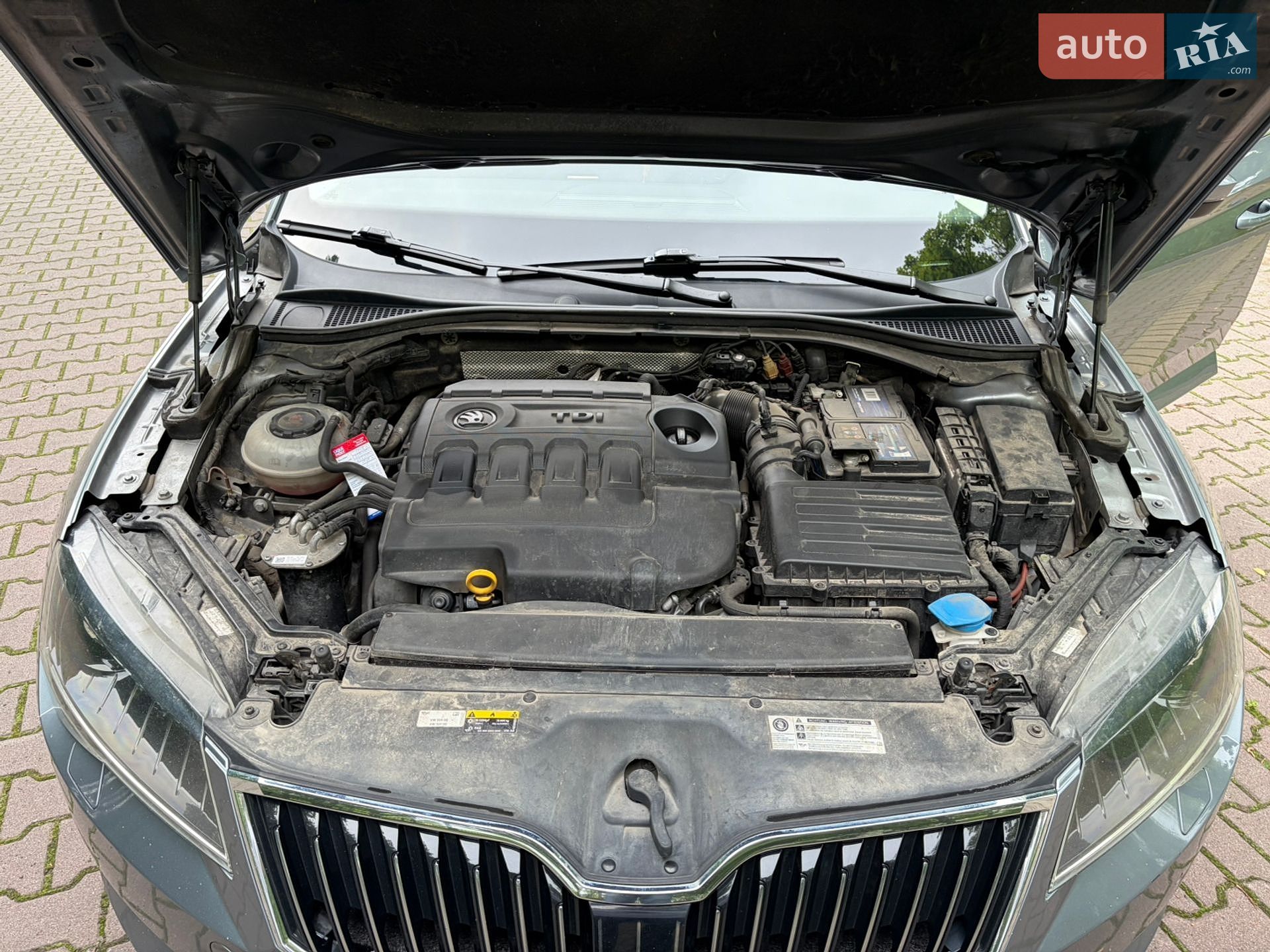 Skoda Superb 2019 VIN TMBJH7NP0K7064299 фото оголошення 24 з 29