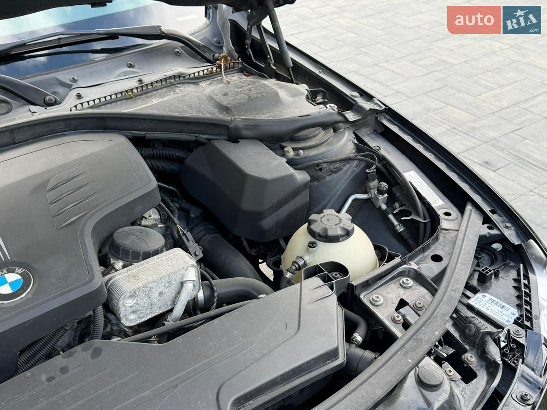 BMW 3 Series 2014 VIN WBA3G7C52EKN37499 фото оголошення 54 з 68