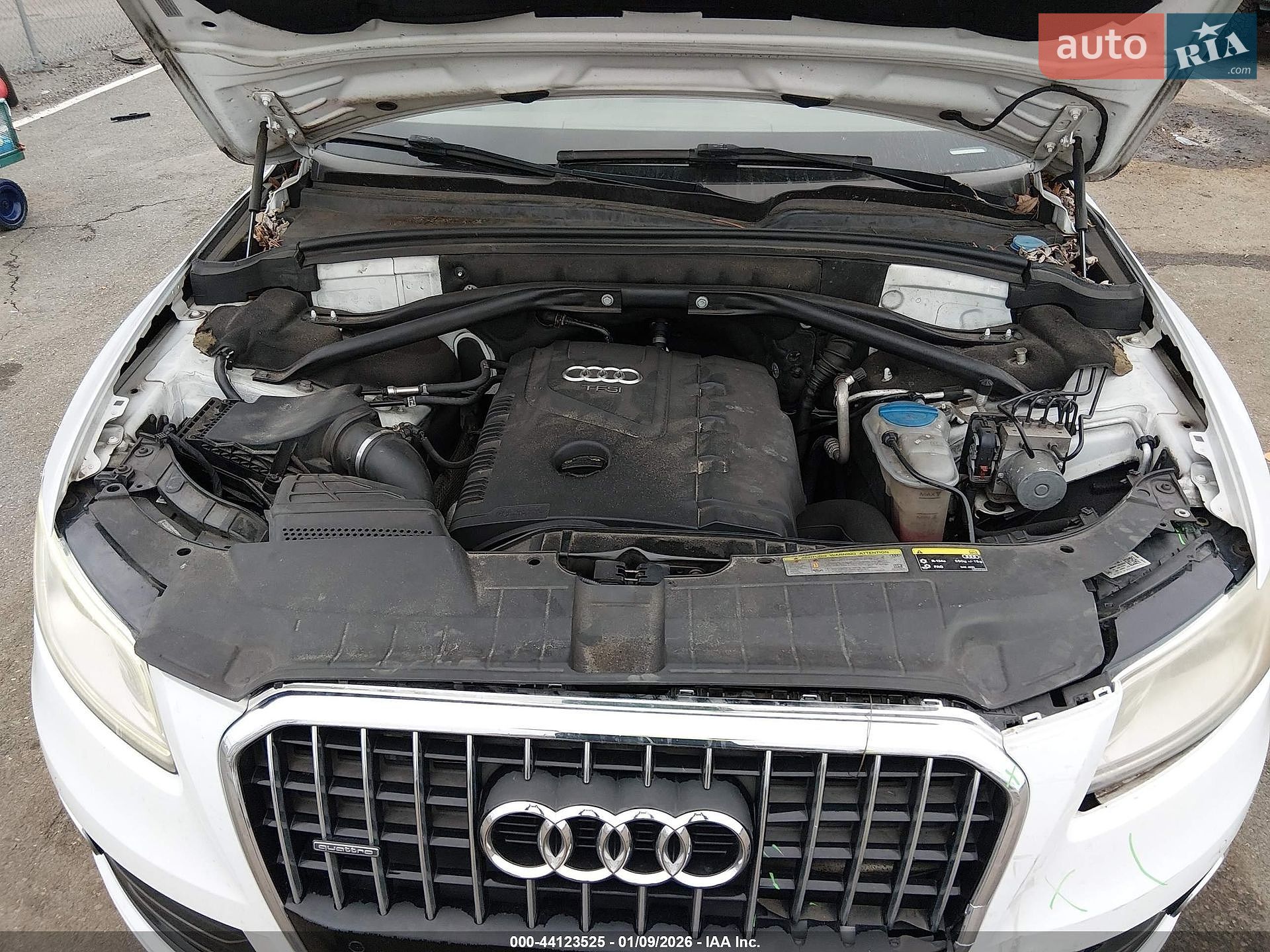Audi Q5 2015 VIN WA1LFAFP4FA146002 фото оголошення 46 з 52