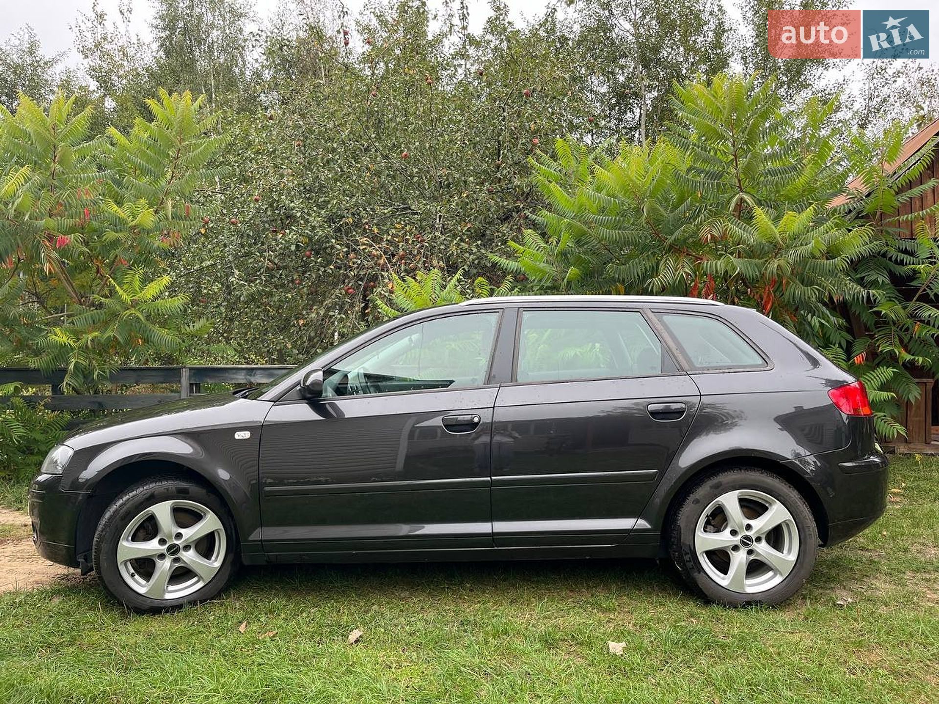Audi A3 2008 VIN WAUZZZ8PX8A151451 фото оголошення 6 з 35