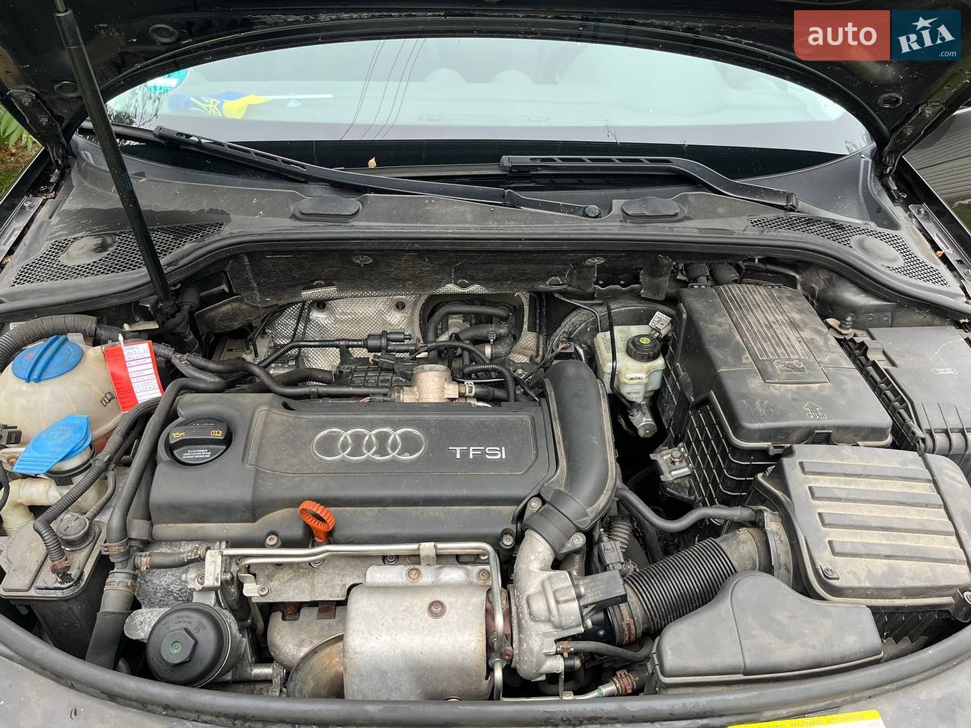 Audi A3 2008 VIN WAUZZZ8PX8A151451 фото оголошення 29 з 35