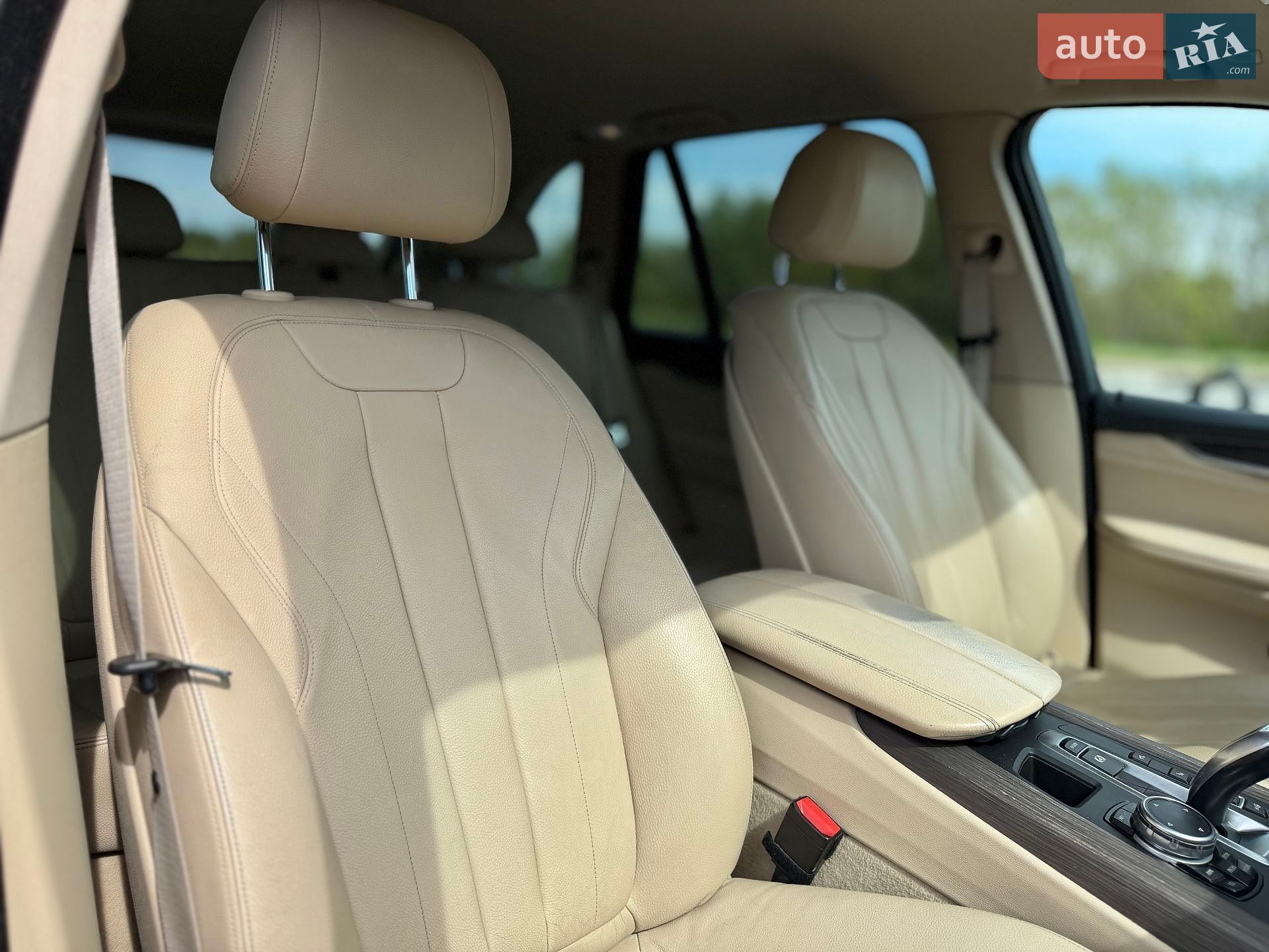 BMW X5 2015 VIN WBAKS210X00N34987 фото оголошення 20 з 25