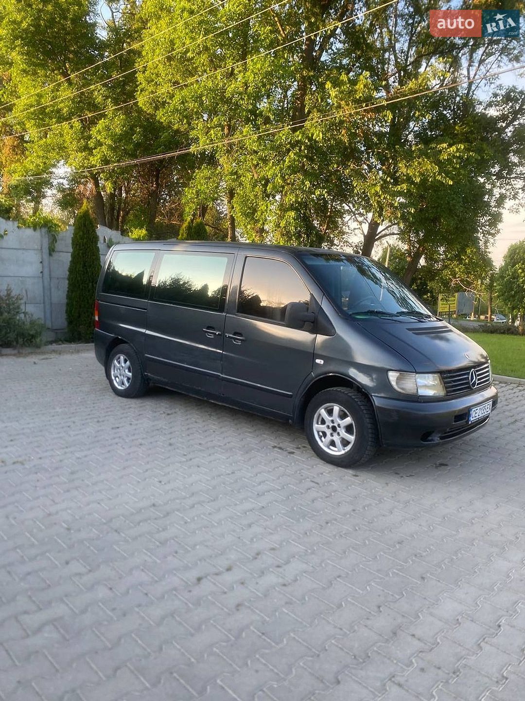 Mercedes-Benz Vito 2002 VIN WDF63809413469650 фото оголошення 8 з 8