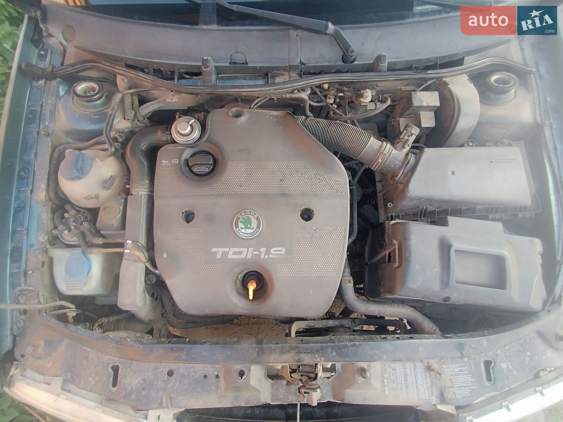 Skoda Octavia 2003 VIN TMBDG41U132802202 фото оголошення 18 з 25