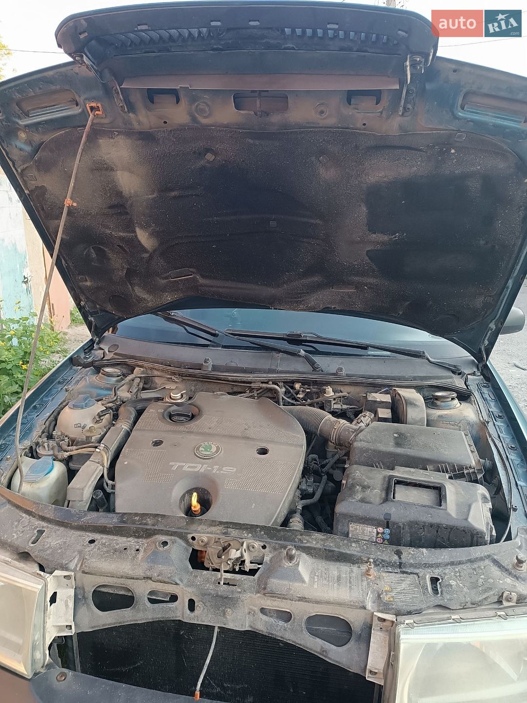 Skoda Octavia 2003 VIN TMBDG41U132802202 фото оголошення 20 з 25