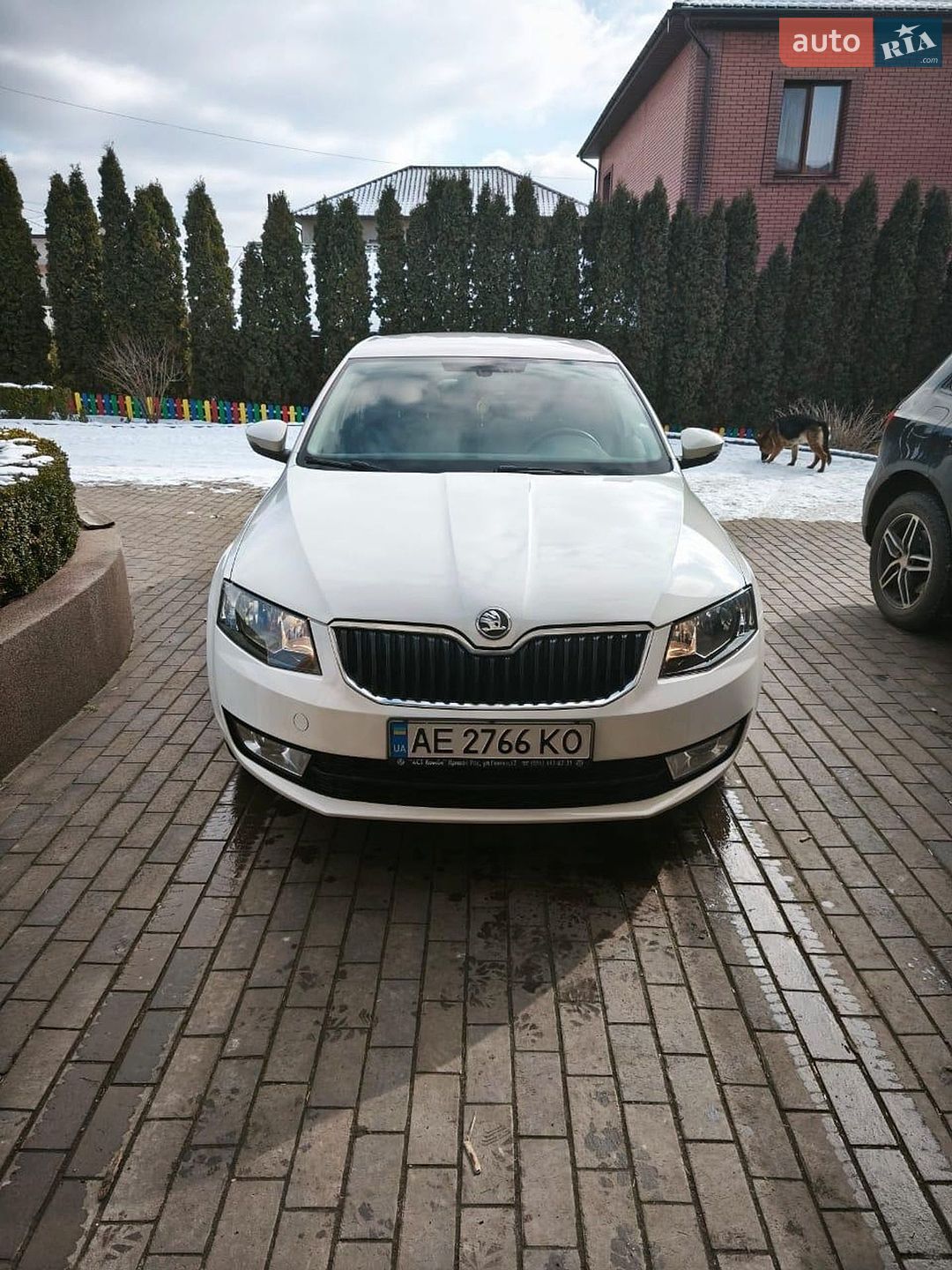 Skoda Octavia 2013 VIN Y6UAC2NE6EB007204 фото оголошення 6 з 19
