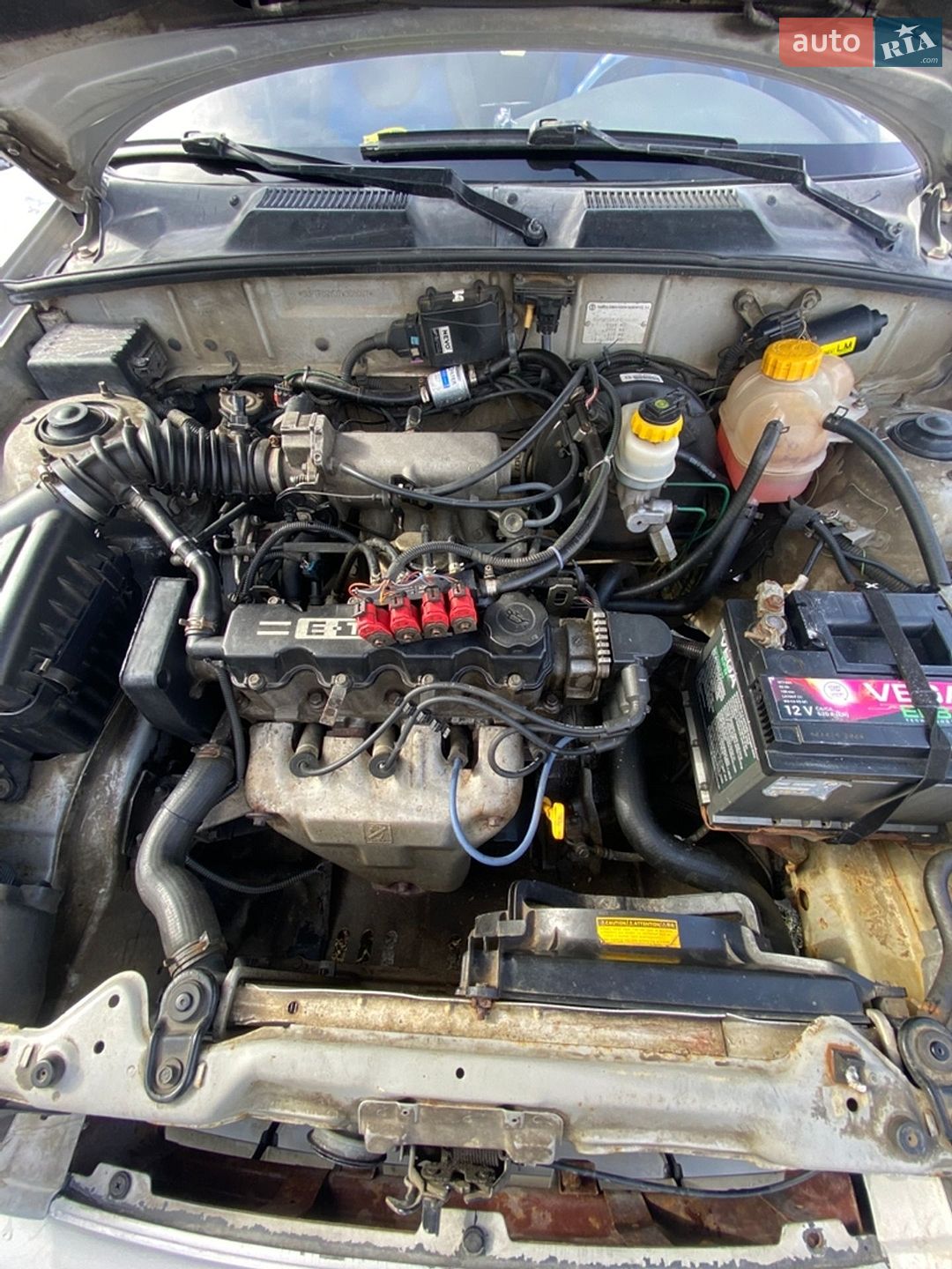 Daewoo Lanos 2006 VIN Y6DTF69YD7W308087 фото оголошення 8 з 8