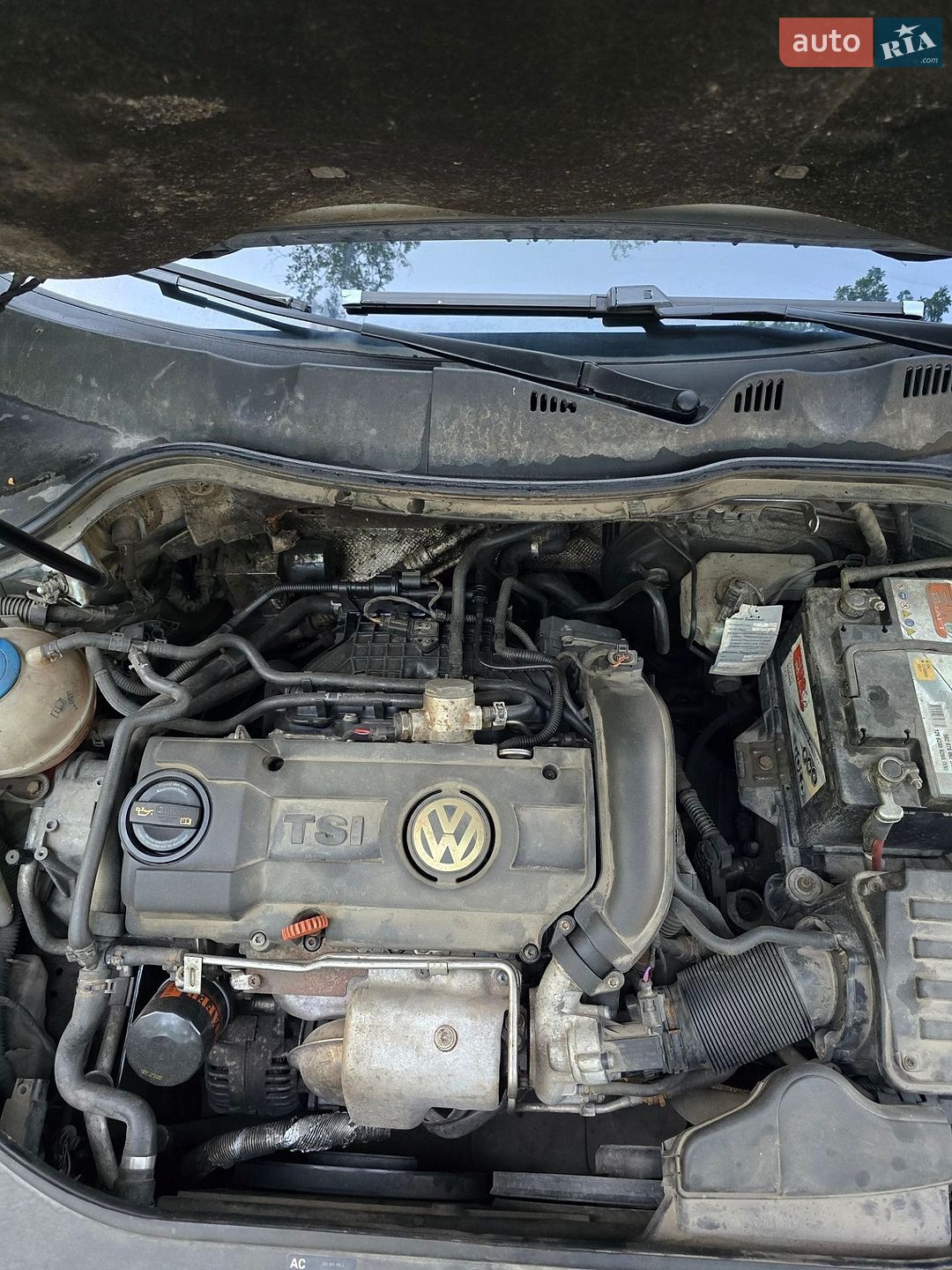 Volkswagen Passat 2008 VIN WVWZZZ3CZ9E065274 фото оголошення 24 з 30