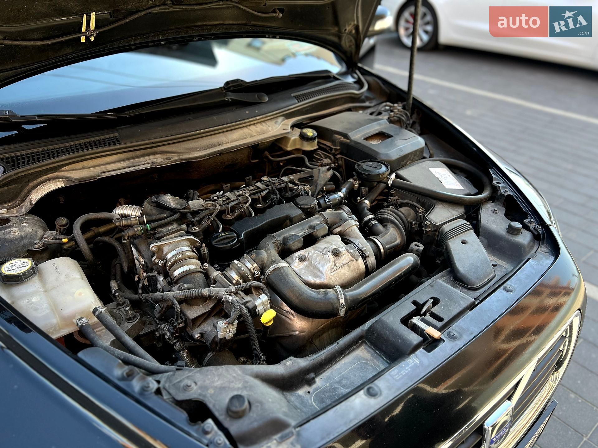 Volvo V50 2007 VIN YV1MW765282373445 фото оголошення 12 з 14