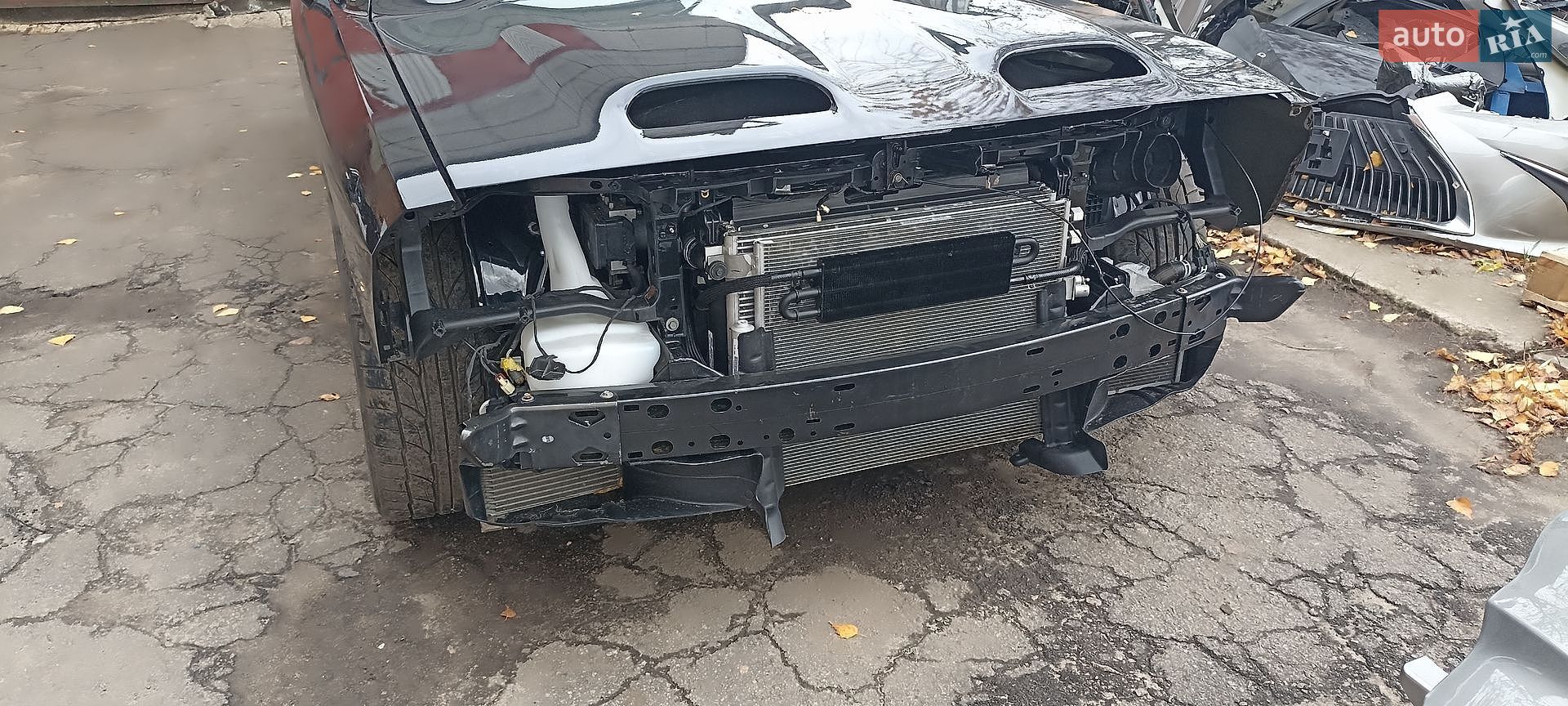 Dodge Challenger 2016 VIN 2C3CDZC97GH199770 фото оголошення 52 з 54