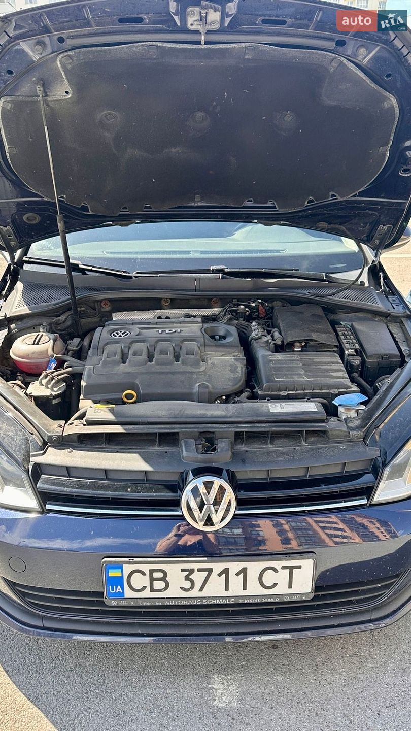 Volkswagen Golf 2016 VIN WVWZZZAUZGP581580 фото оголошення 16 з 17