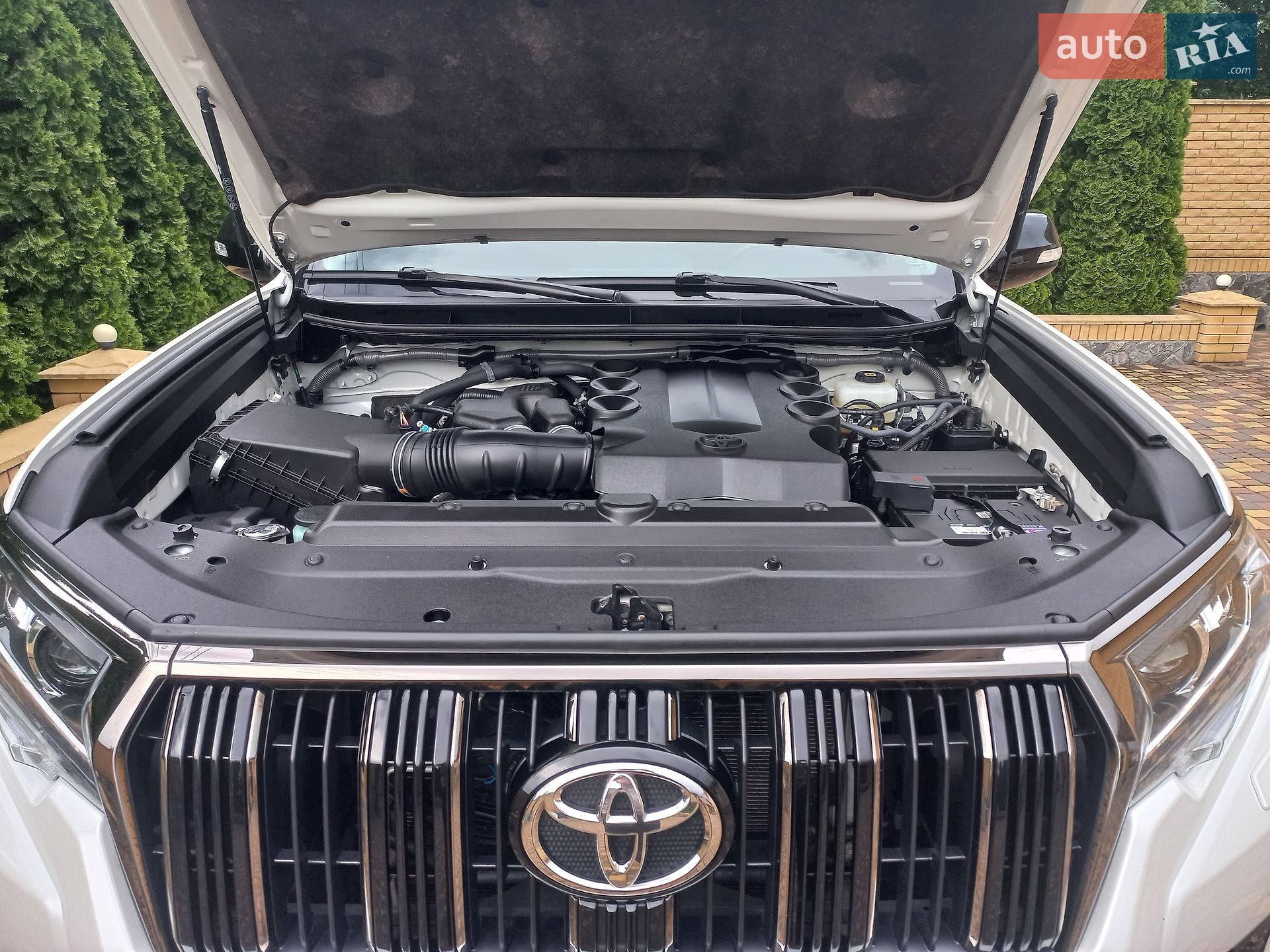 Toyota Land Cruiser Prado 2021 VIN JTEBU3FJ60K202484 фото оголошення 18 з 19