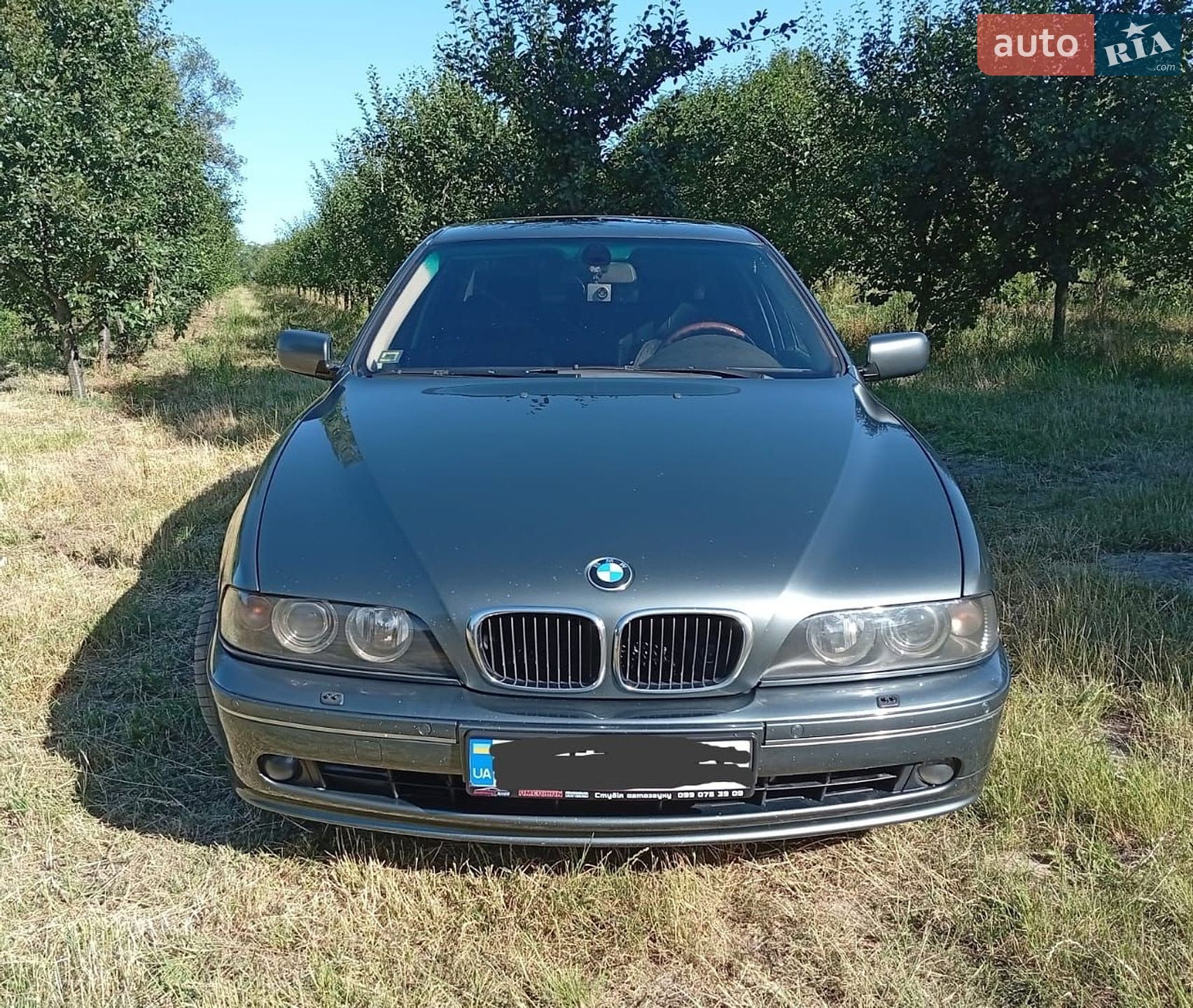 BMW 5 Series 2002 VIN WBADL81010GX64949 фото оголошення 23 з 23