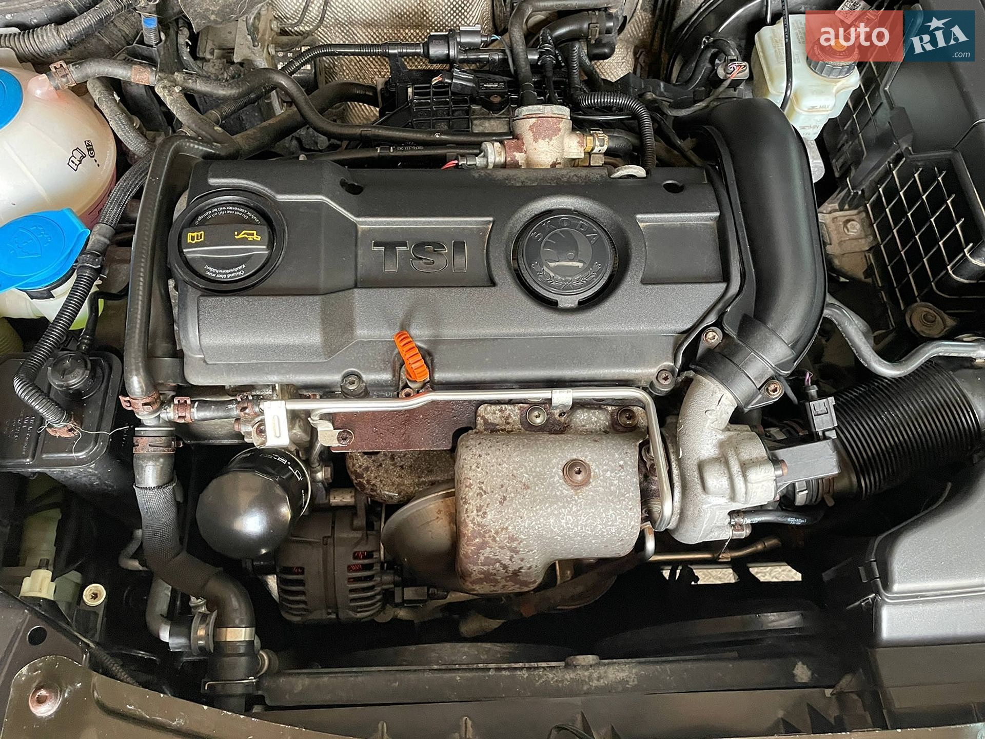 Skoda Octavia 2009 VIN TMBCJ61Z8AC000967 фото оголошення 14 з 14