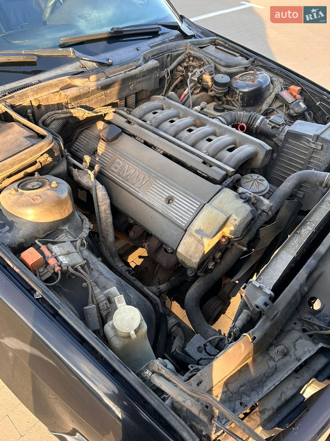 BMW 5 Series 1993 VIN WBAHB510X0GG31001 фото оголошення 14 з 15