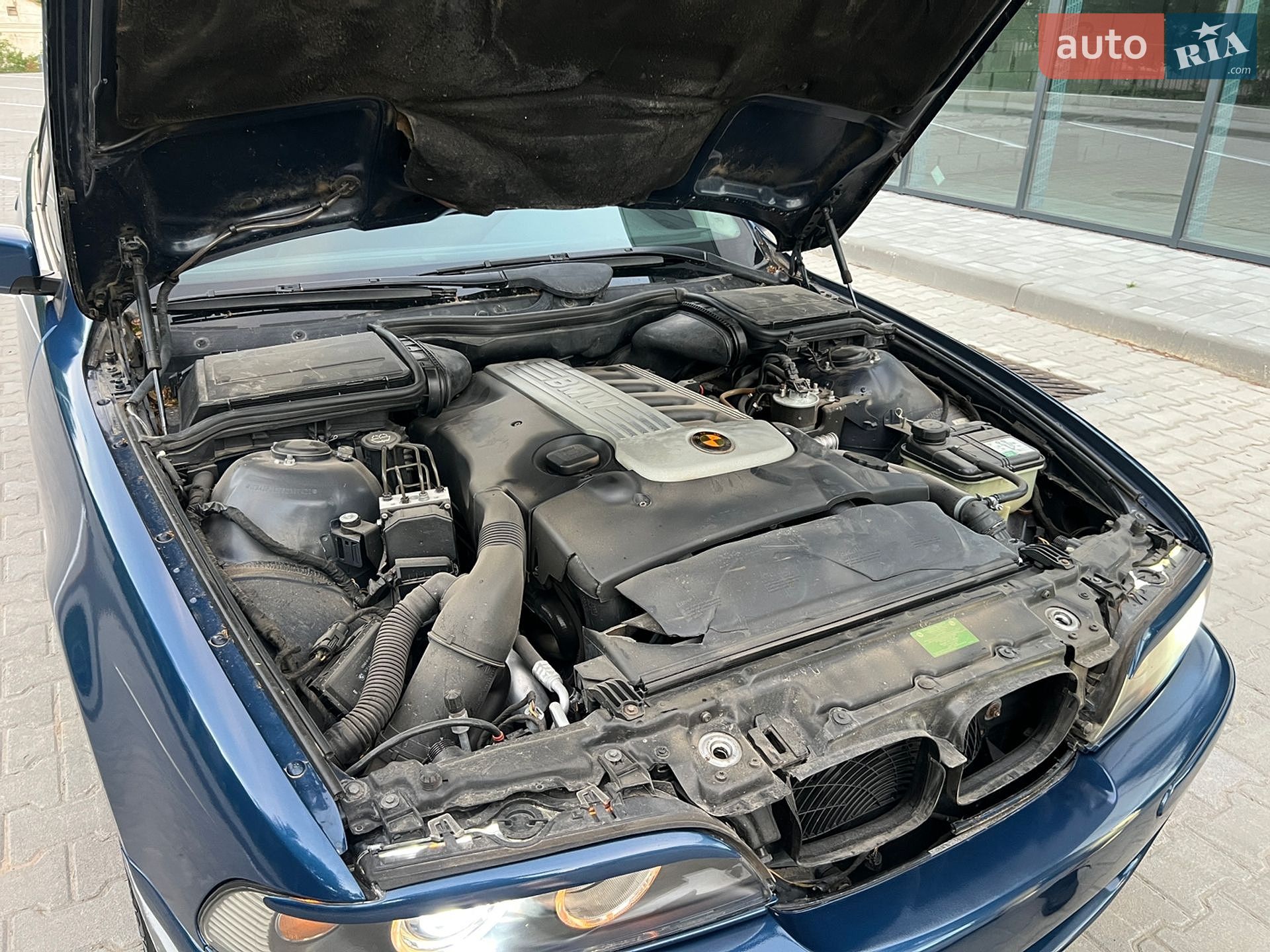 BMW 5 Series 2002 VIN WBAHD51000BG65536 фото оголошення 27 з 33