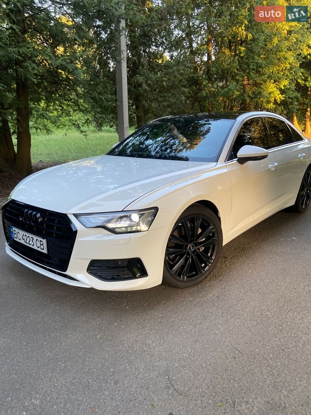Audi A6 2019 VIN WAUD8AF21KN120014 фото оголошення 3 з 29