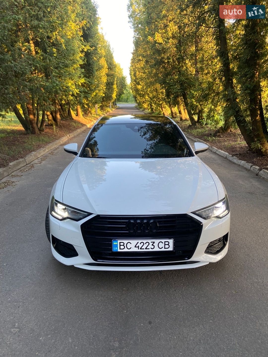 Audi A6 2019 VIN WAUD8AF21KN120014 фото оголошення 4 з 29