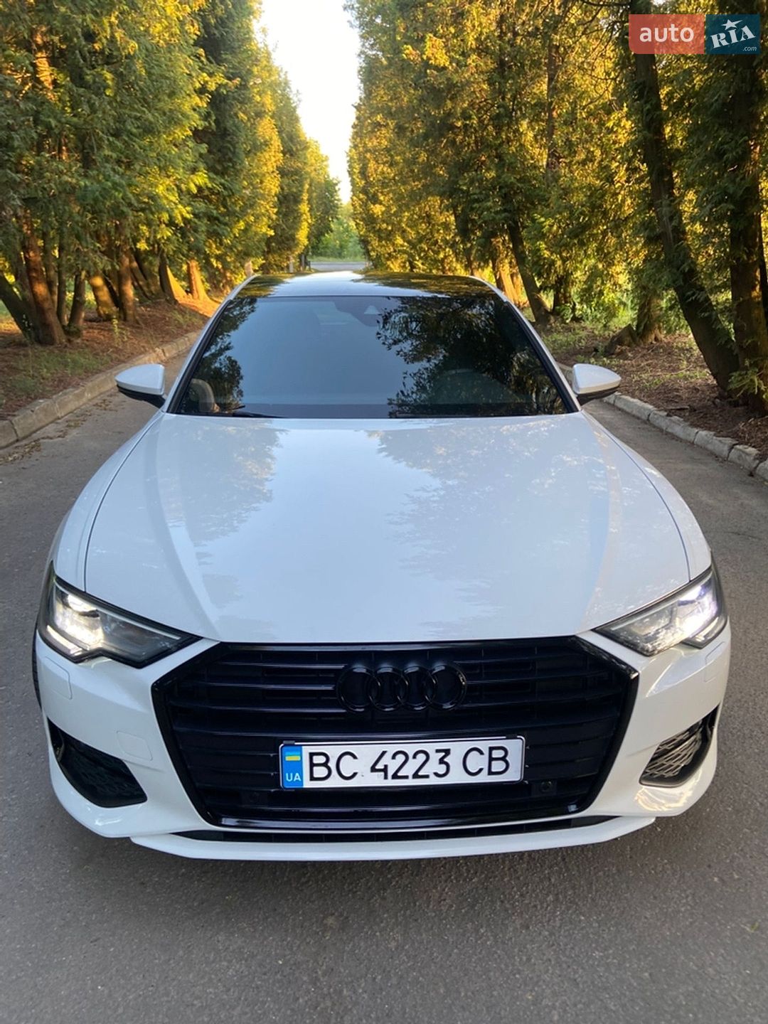 Audi A6 2019 VIN WAUD8AF21KN120014 фото оголошення 5 з 29