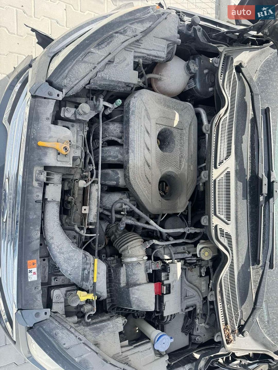 Ford EcoSport 2020 VIN MAJ6S3KL2LC361428 фото оголошення 19 з 19
