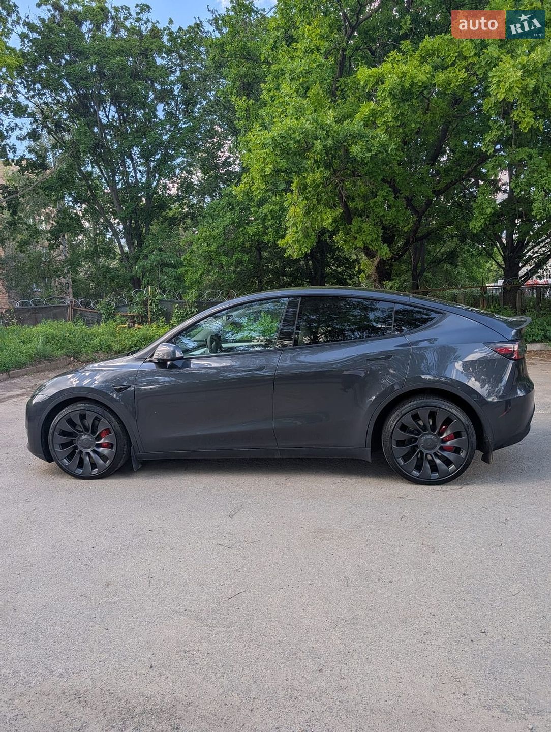 Tesla Model Y 2024 VIN 7SAYGDEF3RA312959 фото оголошення 3 з 26