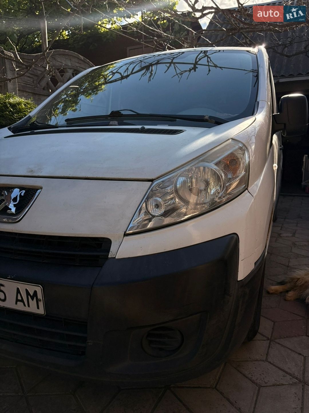 Peugeot Expert 2008 VIN VF3XS9HUC64119341 фото оголошення 11 з 25