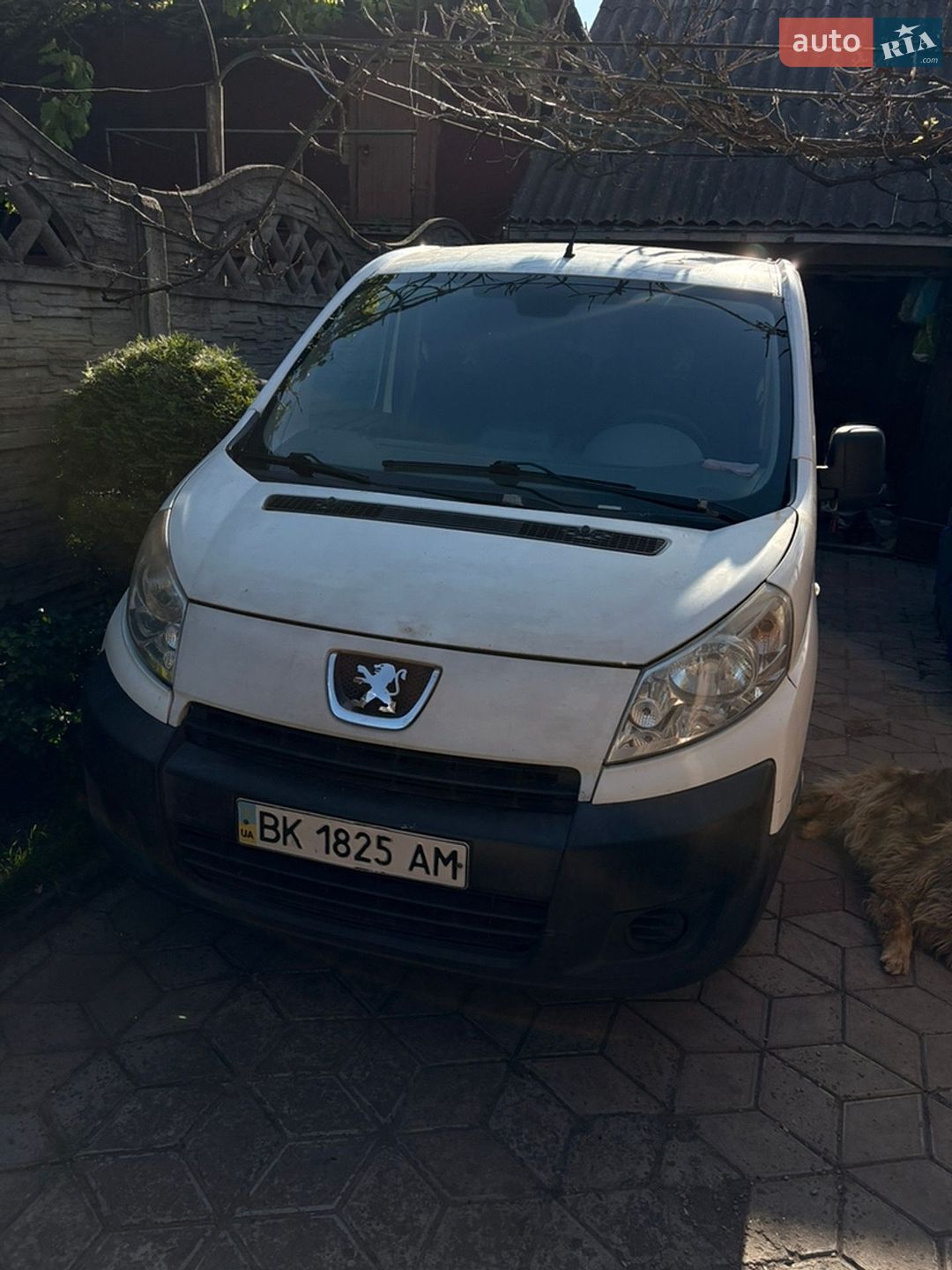 Peugeot Expert 2008 VIN VF3XS9HUC64119341 фото оголошення 10 з 25