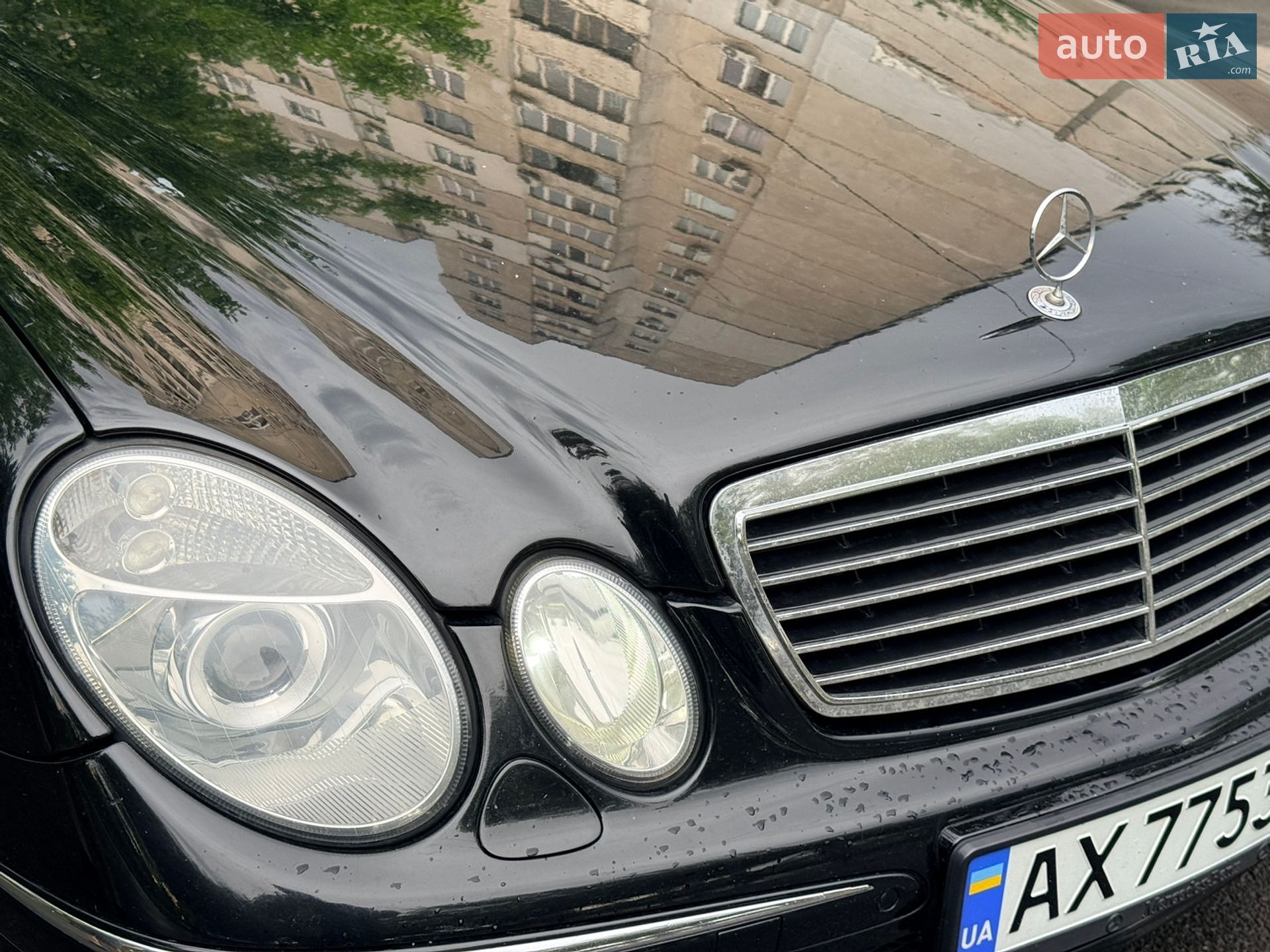 Mercedes-Benz E-Class 2003 VIN WDB2110651A359922 фото оголошення 14 з 19
