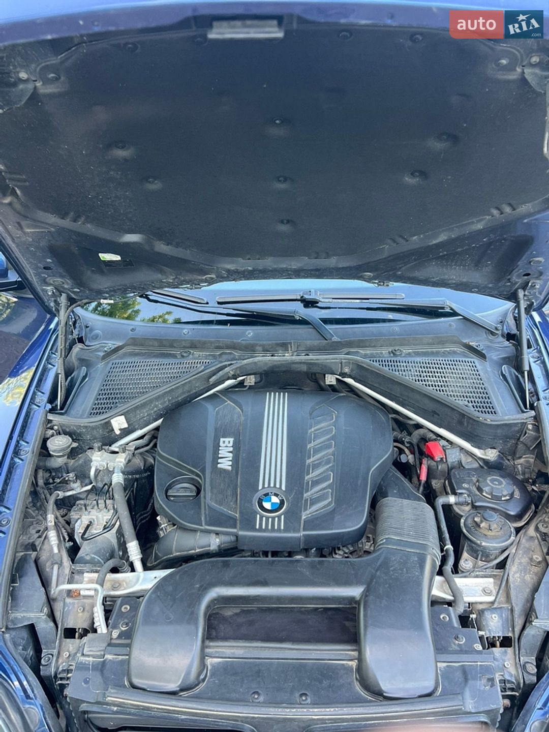BMW X5 2010 VIN WBAZW41090LL42991 фото оголошення 26 з 27