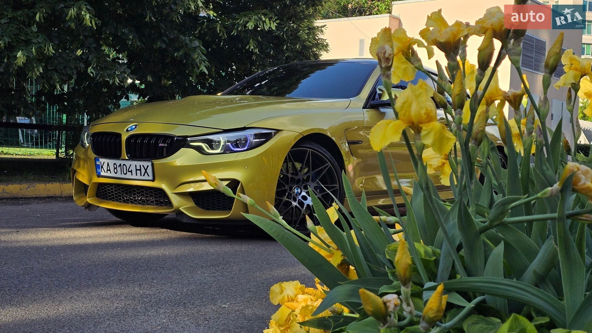 BMW M4 2017 VIN WBS4Y91060AC52919 фото оголошення 30 з 85