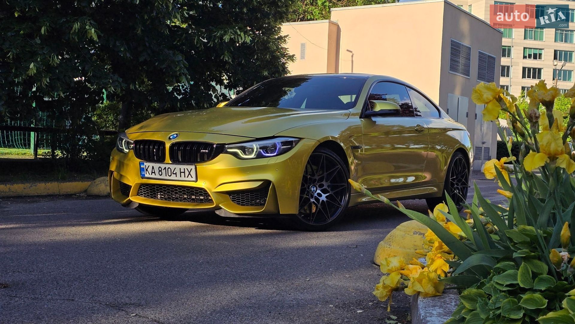 BMW M4 2017 VIN WBS4Y91060AC52919 фото оголошення 31 з 85