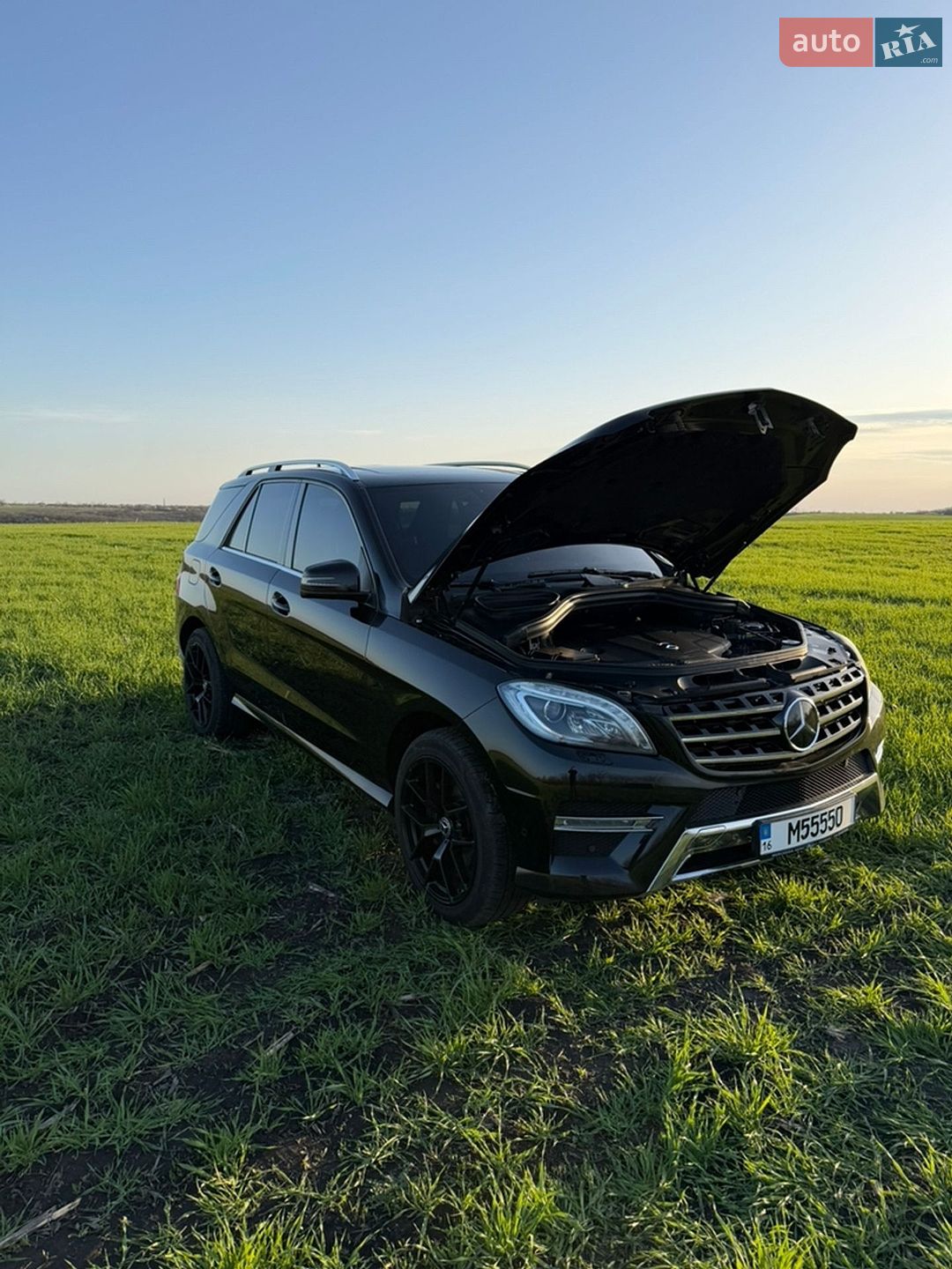 Mercedes-Benz M-Class 2013 VIN WDC1660241A299840 фото оголошення 9 з 22