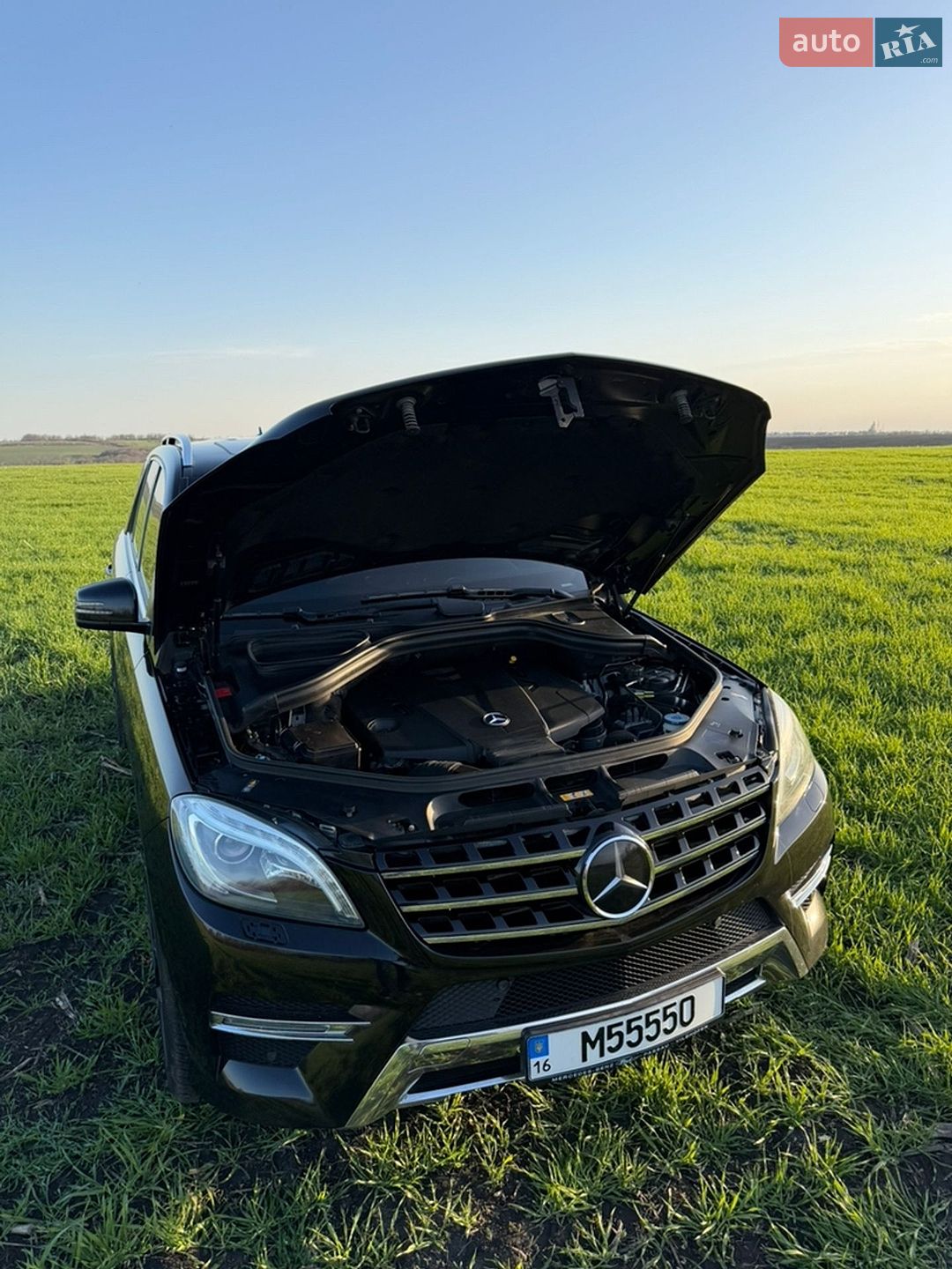 Mercedes-Benz M-Class 2013 VIN WDC1660241A299840 фото оголошення 10 з 22