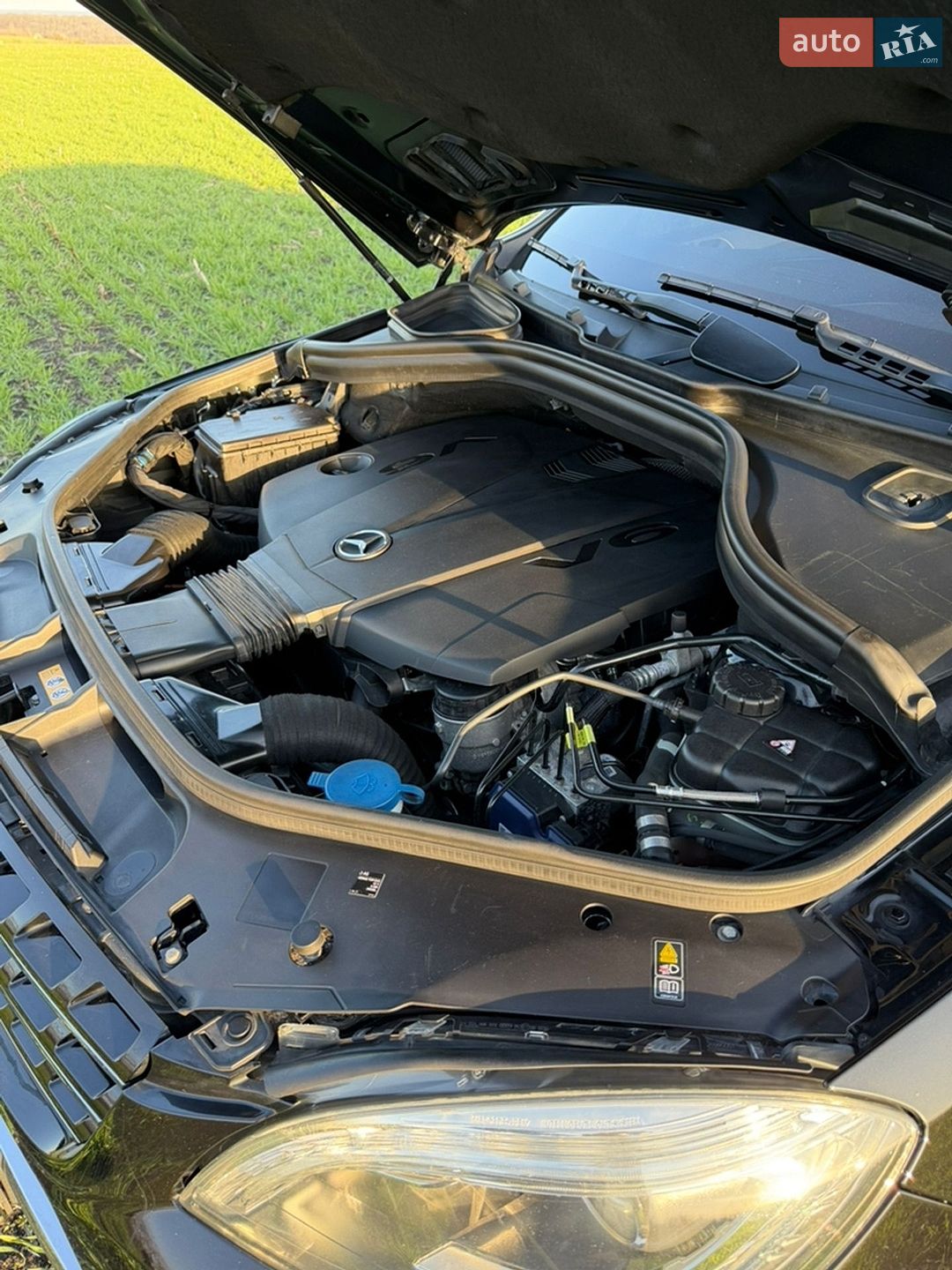 Mercedes-Benz M-Class 2013 VIN WDC1660241A299840 фото оголошення 11 з 22