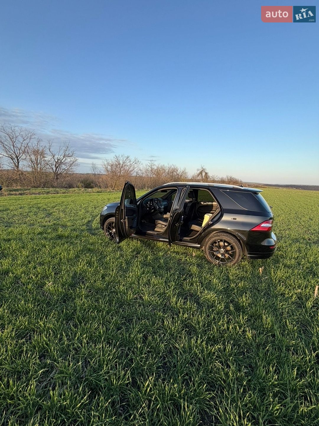 Mercedes-Benz M-Class 2013 VIN WDC1660241A299840 фото оголошення 22 з 22