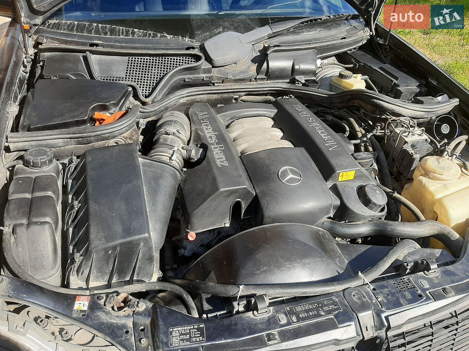 Mercedes-Benz E-Class 1997 VIN WDB2100631A443745 фото оголошення 18 з 18