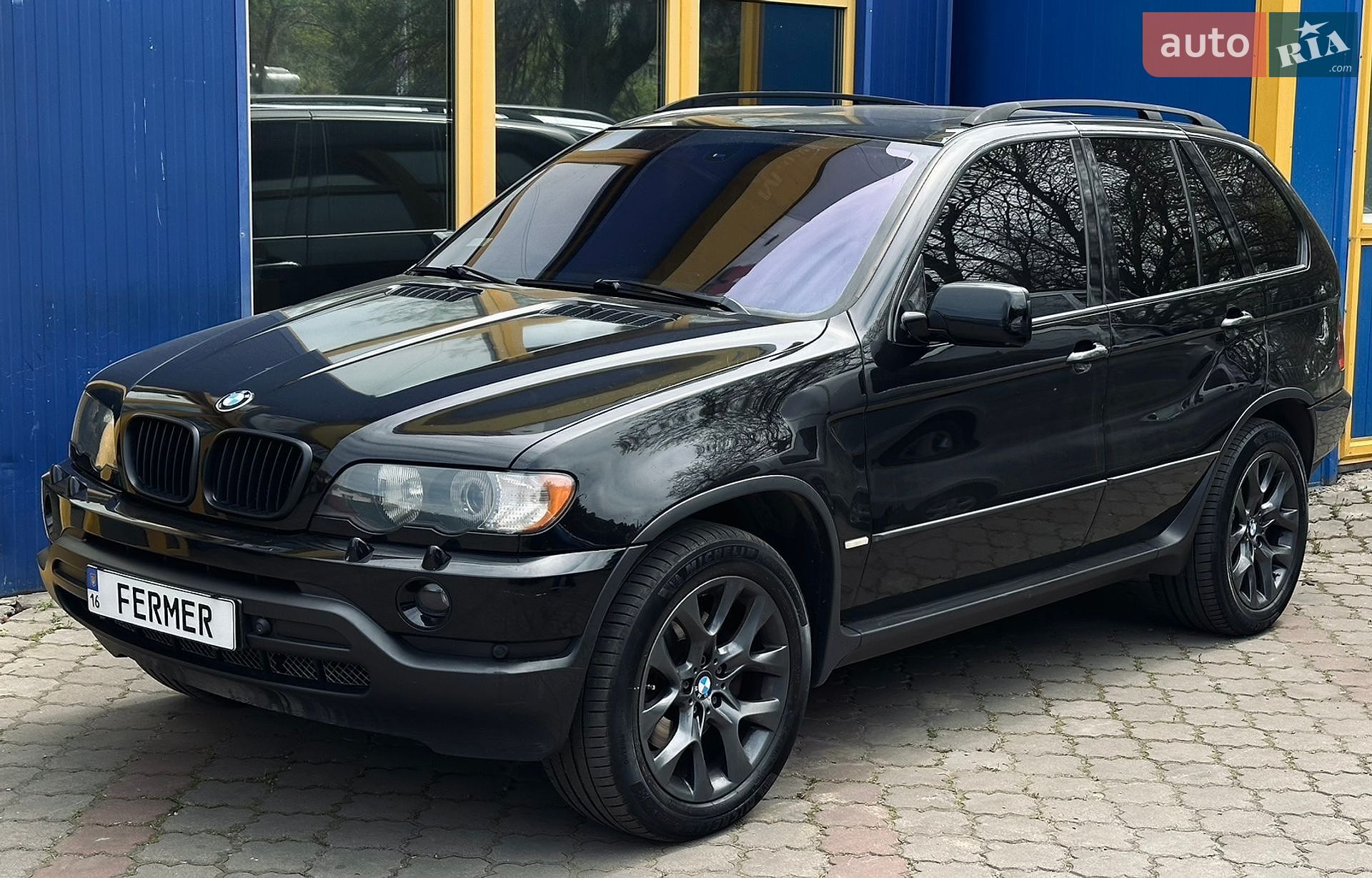 BMW X5 2002 VIN WBAFA71090LN22488 фото оголошення 13 з 13